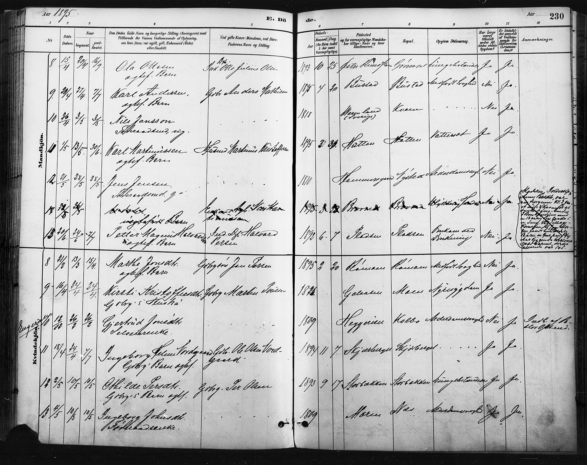 Trysil prestekontor, SAH/PREST-046/H/Ha/Haa/L0009: Parish register (official) no. 9, 1881-1897, p. 230