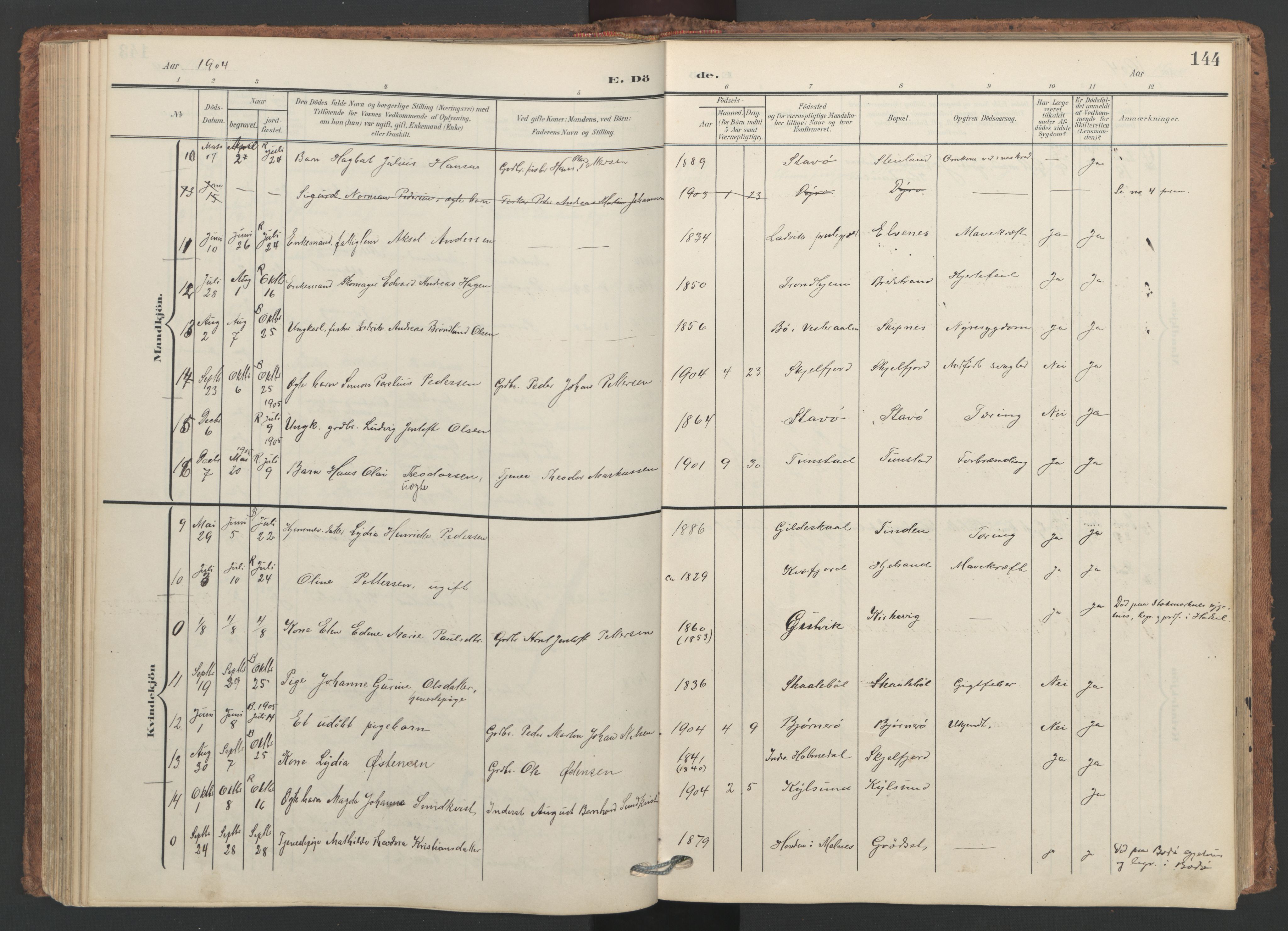 Ministerialprotokoller, klokkerbøker og fødselsregistre - Nordland, SAT/A-1459/893/L1339: Parish register (official) no. 893A11, 1904-1914, p. 144