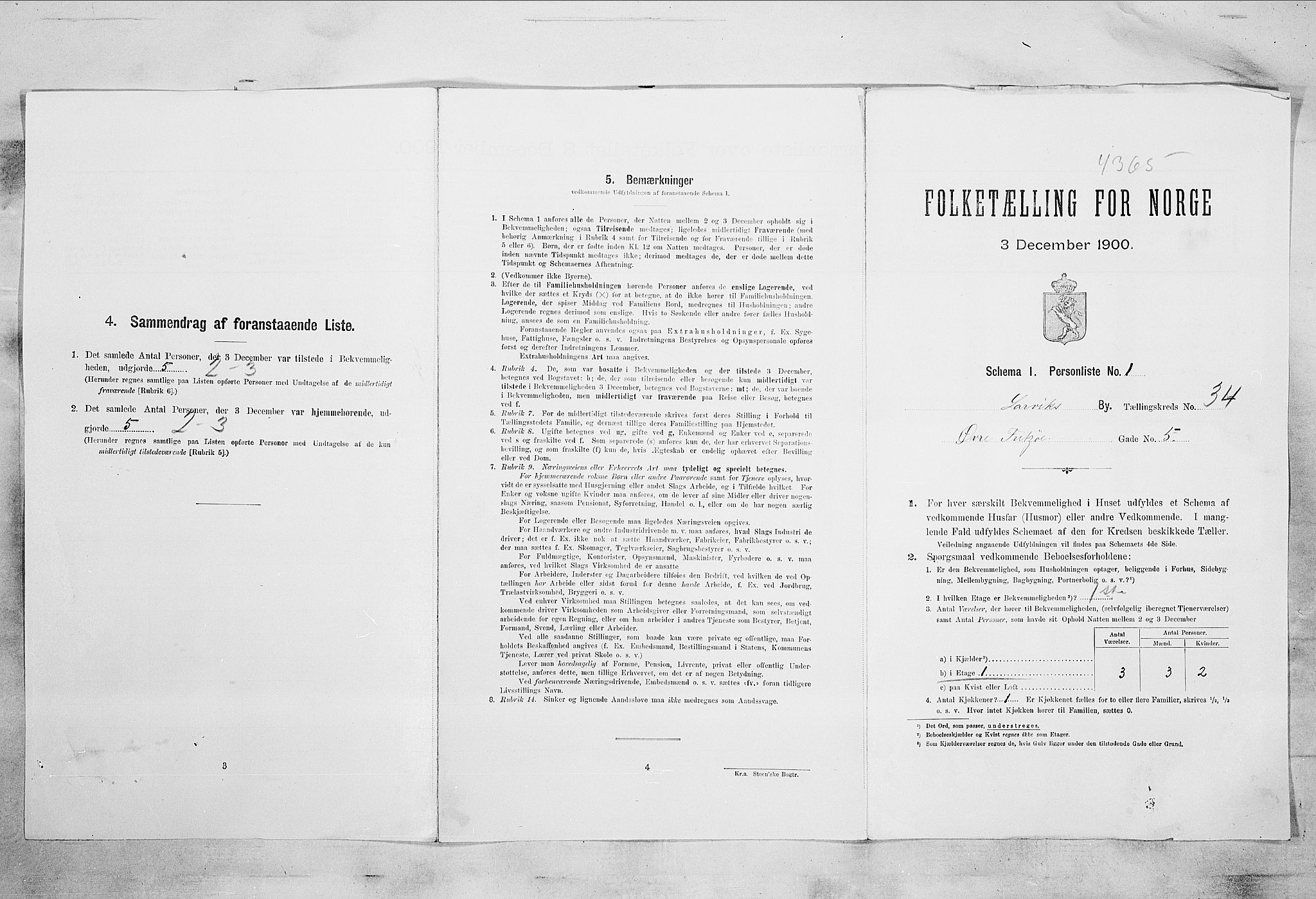 RA, 1900 census for Larvik, 1900, p. 4019