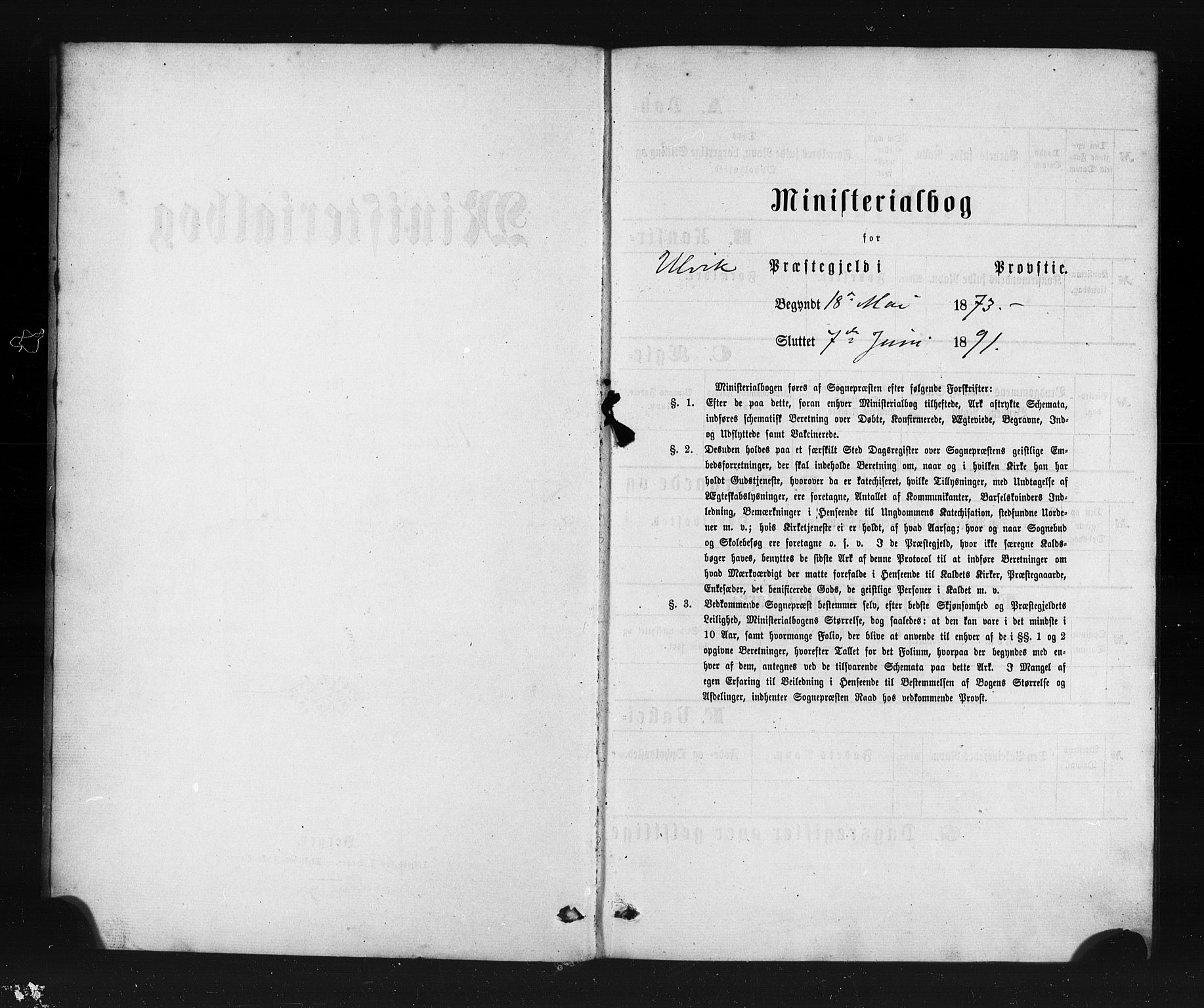 Ulvik sokneprestembete, SAB/A-78801/H/Haa: Parish register (official) no. A 17, 1873-1891