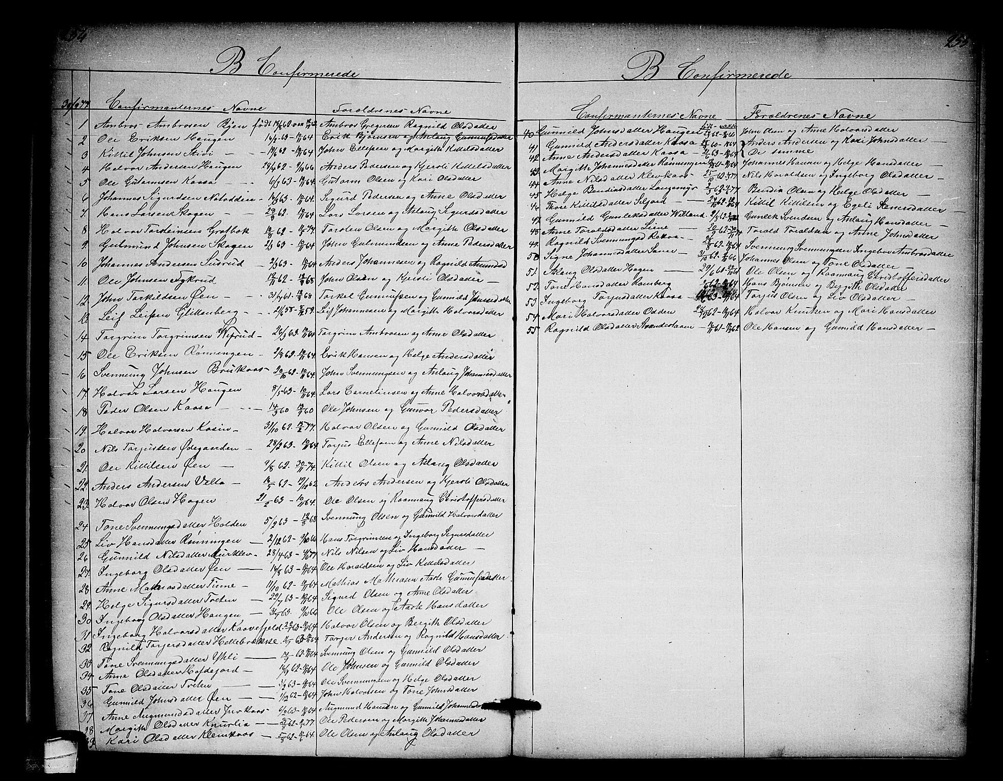 Heddal kirkebøker, AV/SAKO-A-268/G/Ga/L0001: Parish register (copy) no. I 1, 1866-1878, p. 254-255