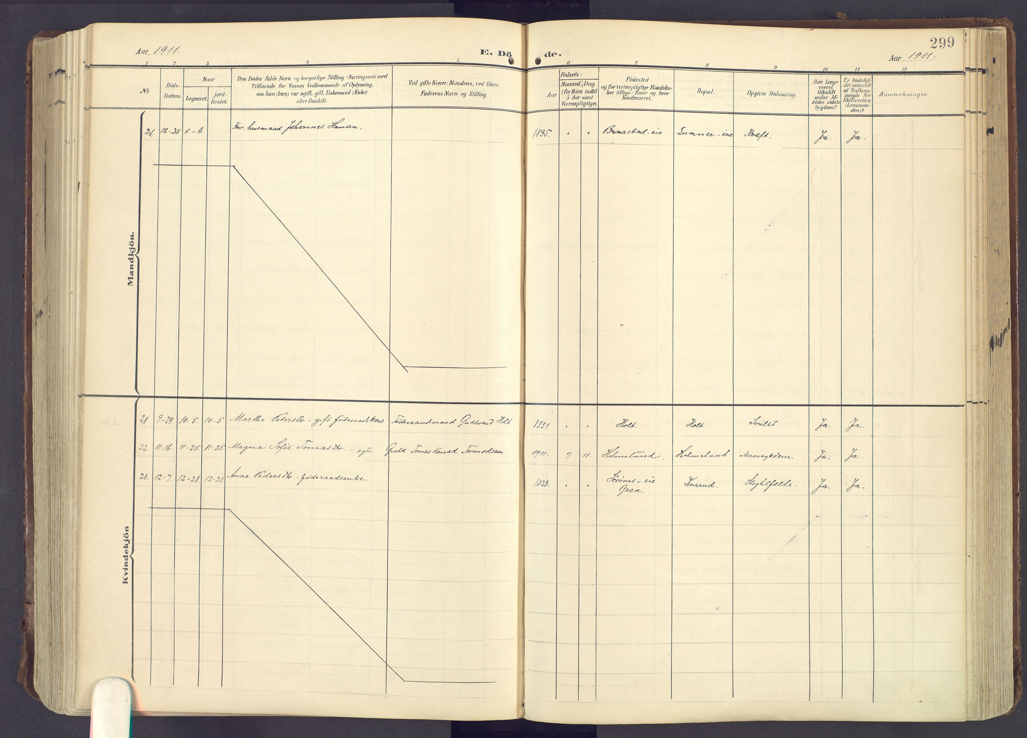 Lunner prestekontor, AV/SAH-PREST-118/H/Ha/Haa/L0001: Parish register (official) no. 1, 1907-1922, p. 299