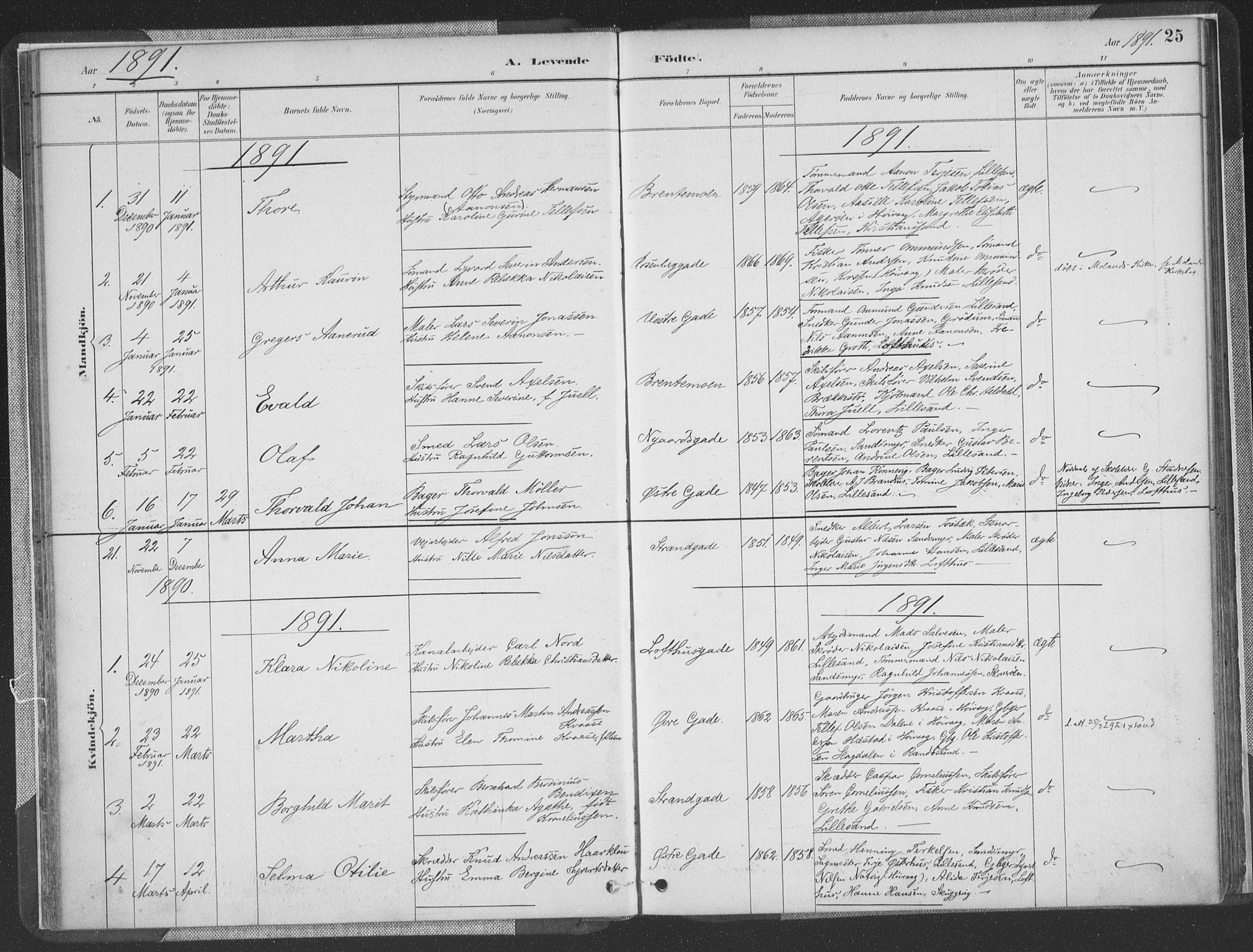 Vestre Moland sokneprestkontor, AV/SAK-1111-0046/F/Fa/Faa/L0001: Parish register (official) no. A 1, 1884-1899, p. 26