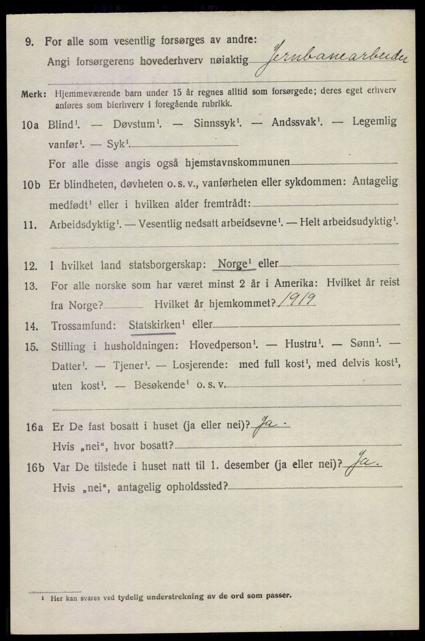 SAKO, 1920 census for Nes (Buskerud), 1920, p. 5003