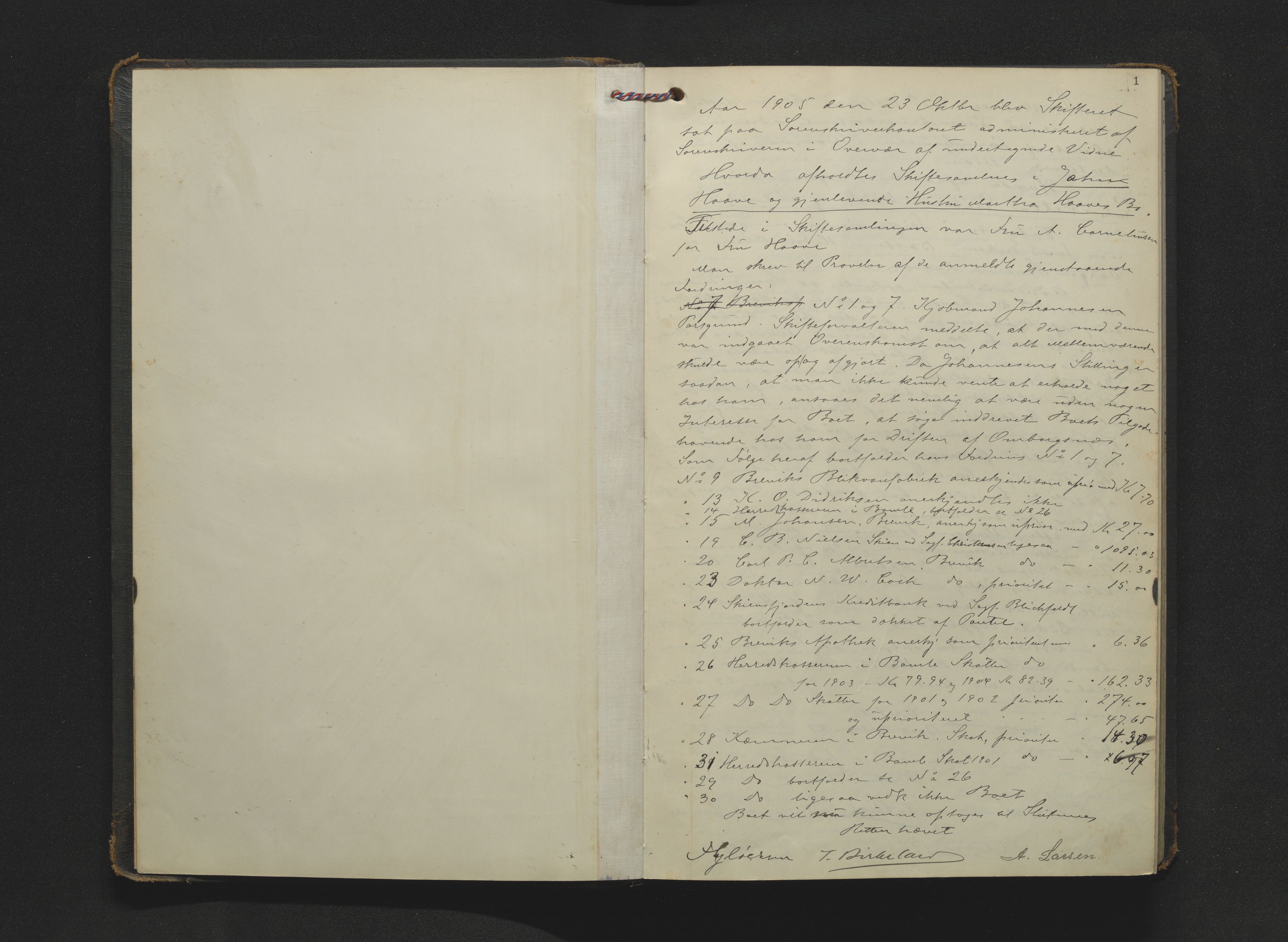 Bamble sorenskriveri, AV/SAKO-A-214/H/Hb/Hbc/L0016: Skifteforhandlingsprotokoll, 1905-1909, p. 1