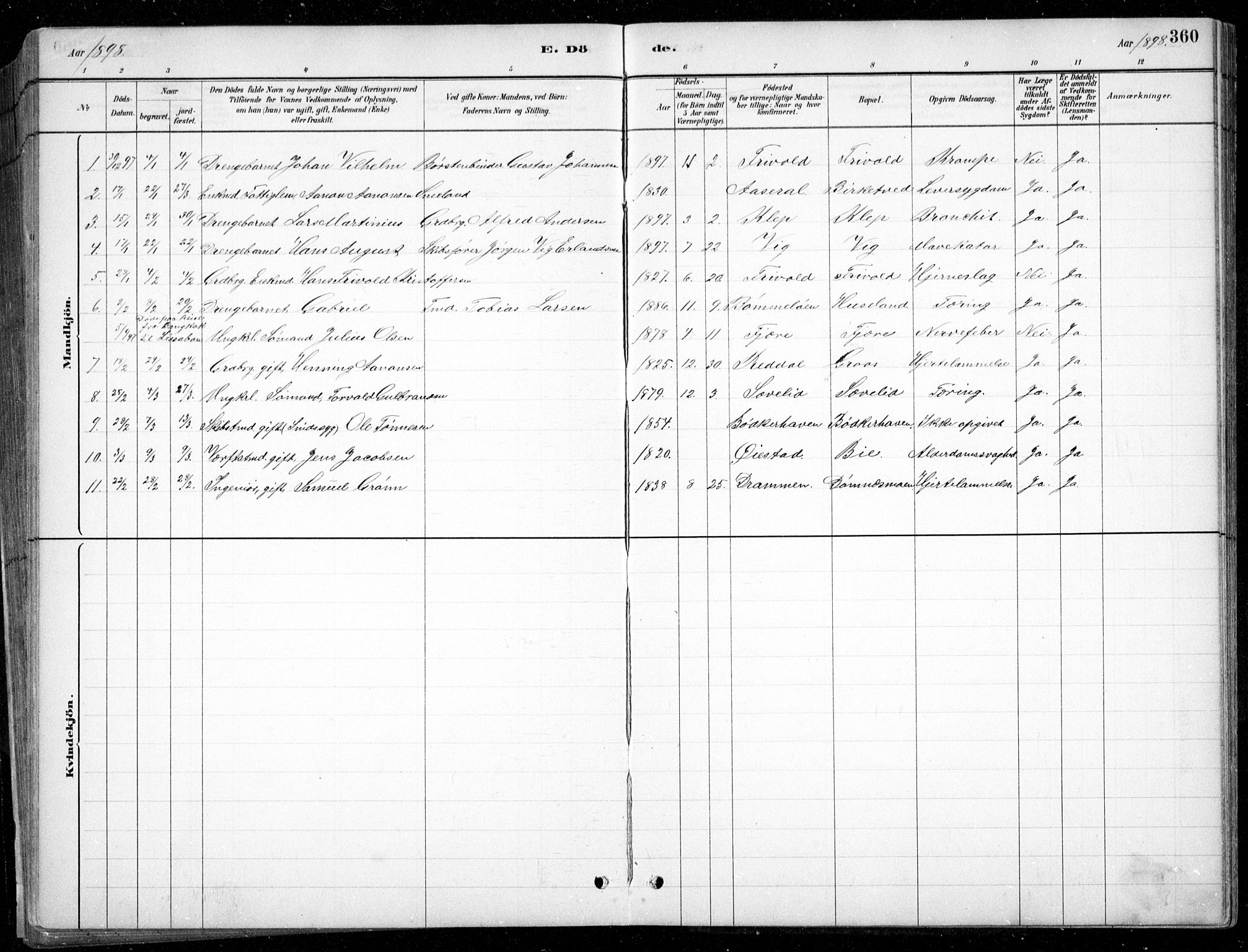 Fjære sokneprestkontor, SAK/1111-0011/F/Fb/L0011: Parish register (copy) no. B 11, 1881-1905, p. 360