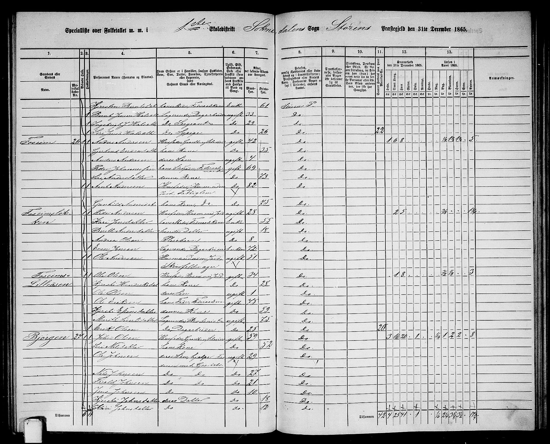 RA, 1865 census for Støren, 1865, p. 231