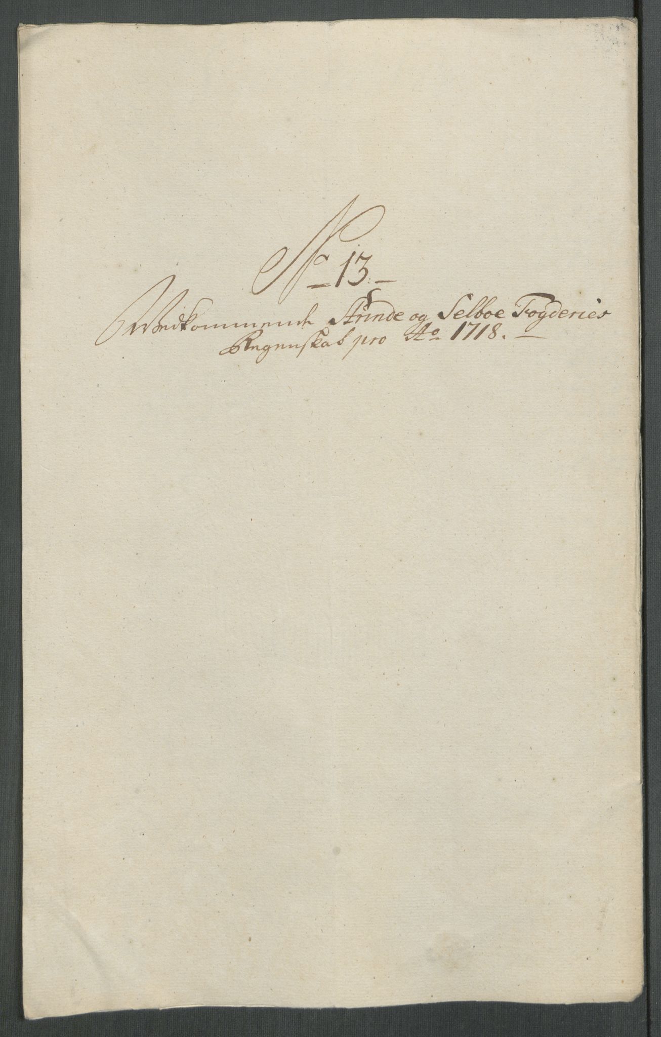 Rentekammeret inntil 1814, Reviderte regnskaper, Fogderegnskap, AV/RA-EA-4092/R61/L4116: Fogderegnskap Strinda og Selbu, 1717-1718, p. 425