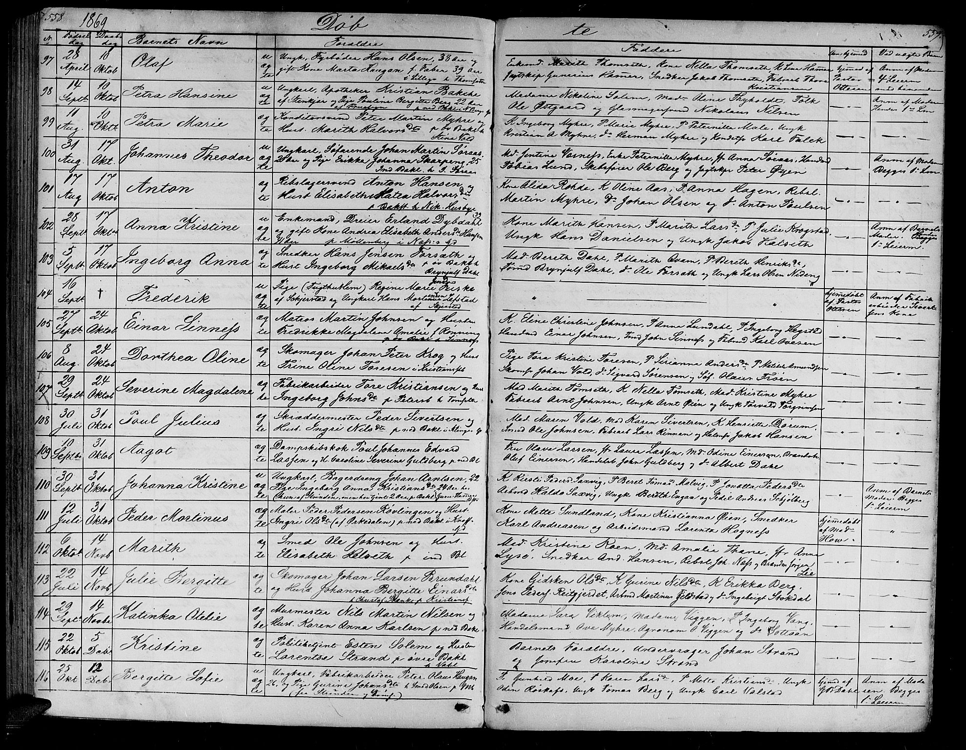 Ministerialprotokoller, klokkerbøker og fødselsregistre - Sør-Trøndelag, AV/SAT-A-1456/604/L0219: Parish register (copy) no. 604C02, 1851-1869, p. 558-559