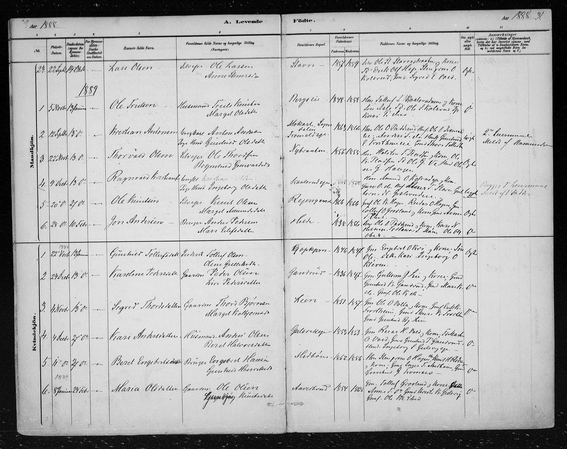 Nes kirkebøker, SAKO/A-236/F/Fa/L0012: Parish register (official) no. 12, 1881-1917, p. 31