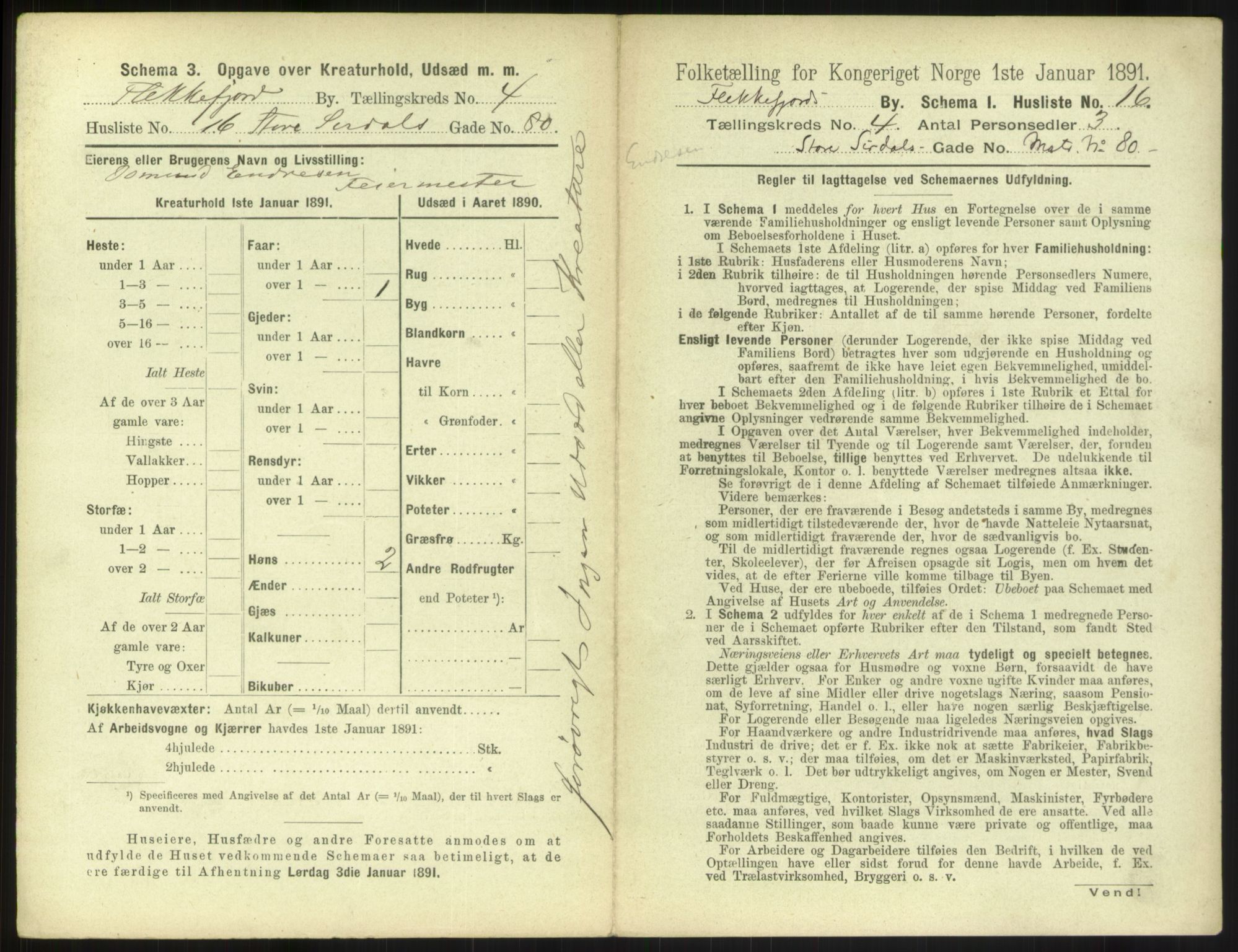 RA, 1891 census for 1004 Flekkefjord, 1891, p. 200