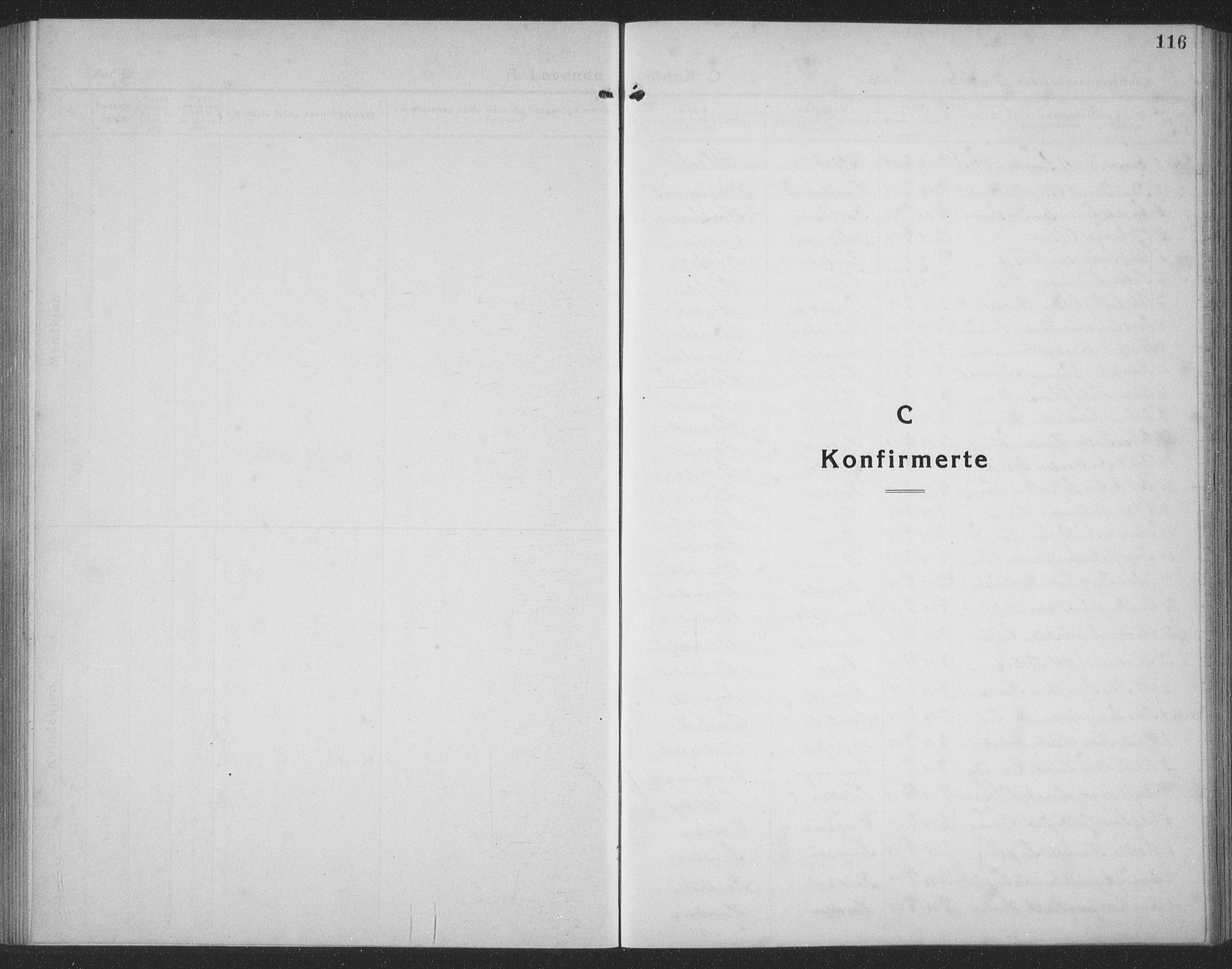 Ministerialprotokoller, klokkerbøker og fødselsregistre - Møre og Romsdal, SAT/A-1454/510/L0127: Parish register (copy) no. 510C04, 1923-1939, p. 116