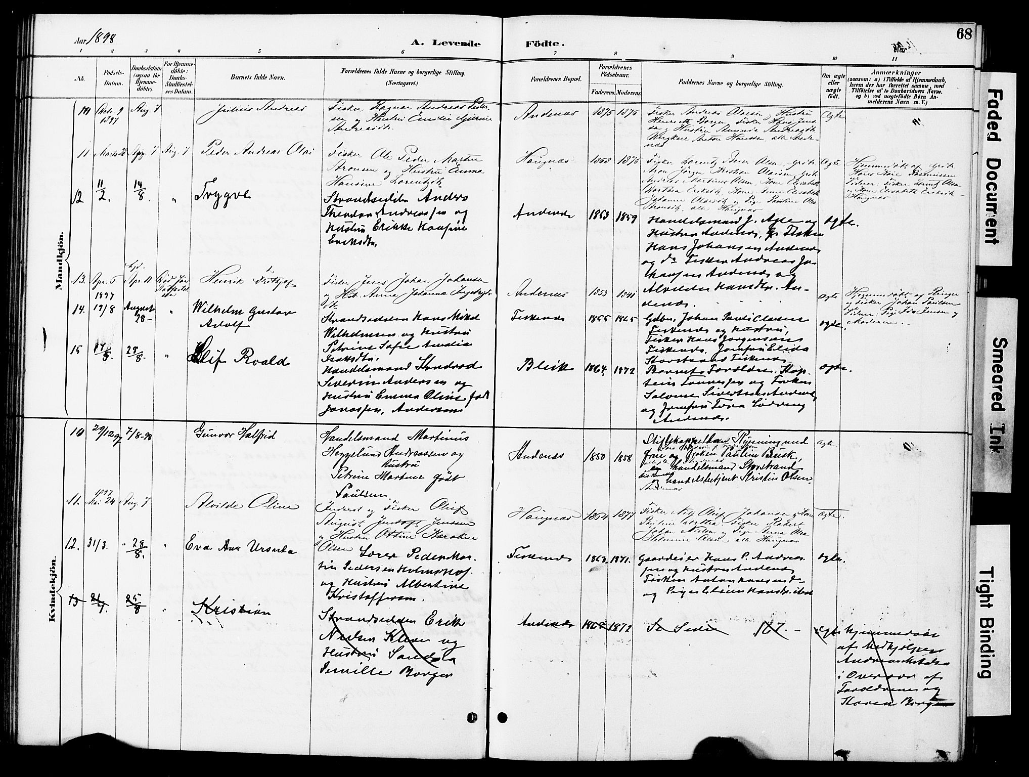 Ministerialprotokoller, klokkerbøker og fødselsregistre - Nordland, AV/SAT-A-1459/899/L1448: Parish register (copy) no. 899C03, 1887-1902, p. 68