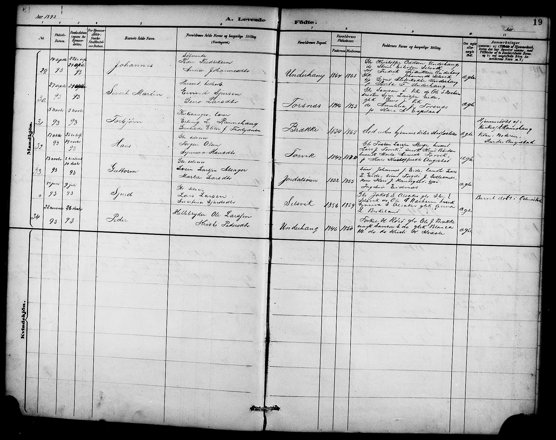 Ullensvang sokneprestembete, AV/SAB-A-78701/H/Hab: Parish register (copy) no. D 1, 1891-1908, p. 19
