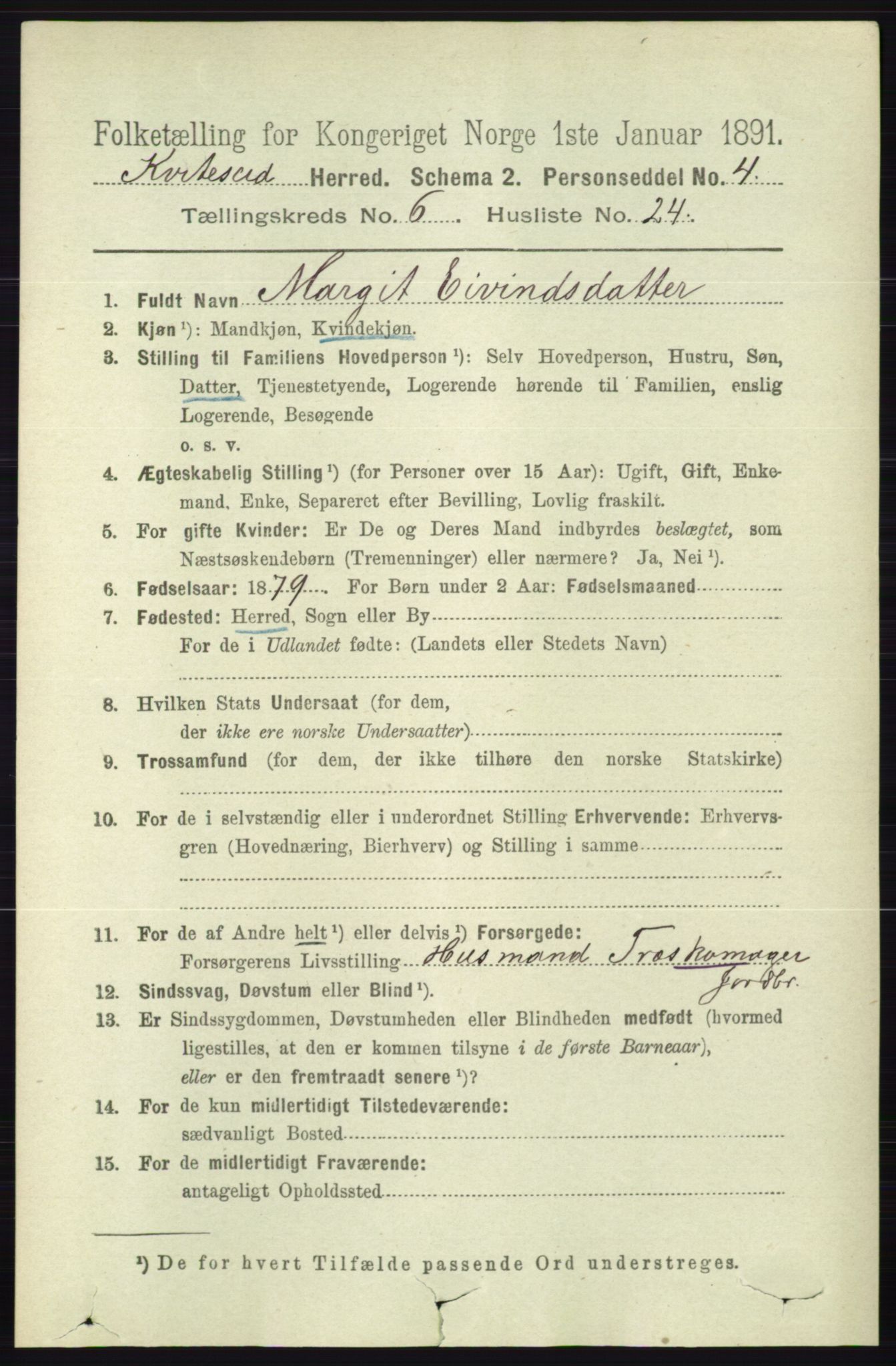 RA, 1891 census for 0829 Kviteseid, 1891, p. 1313