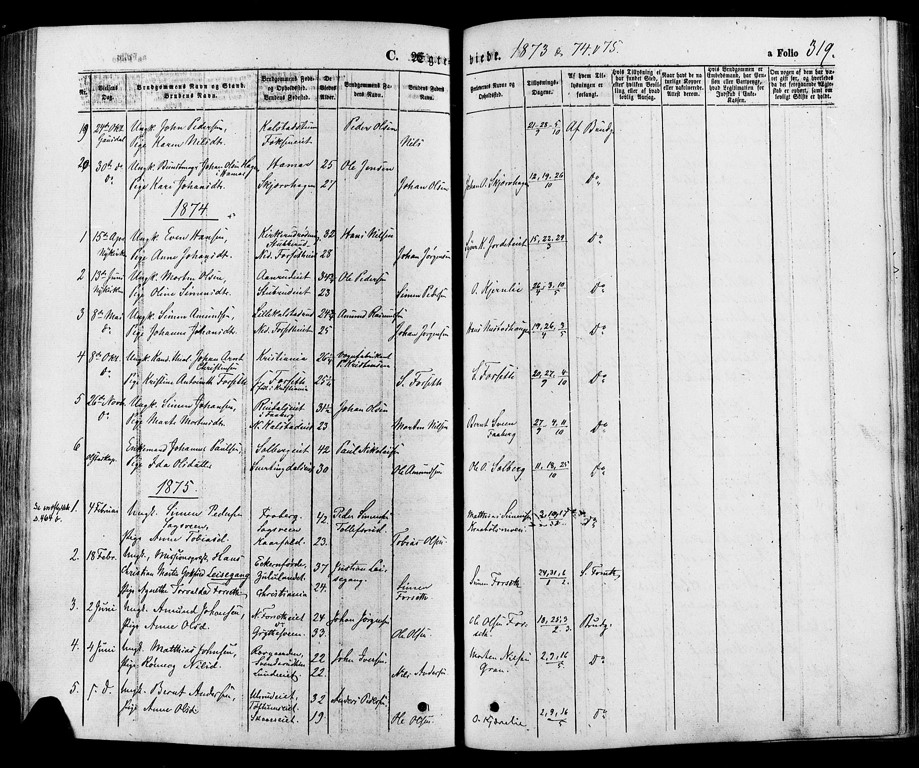 Gausdal prestekontor, SAH/PREST-090/H/Ha/Haa/L0010: Parish register (official) no. 10, 1867-1886, p. 319