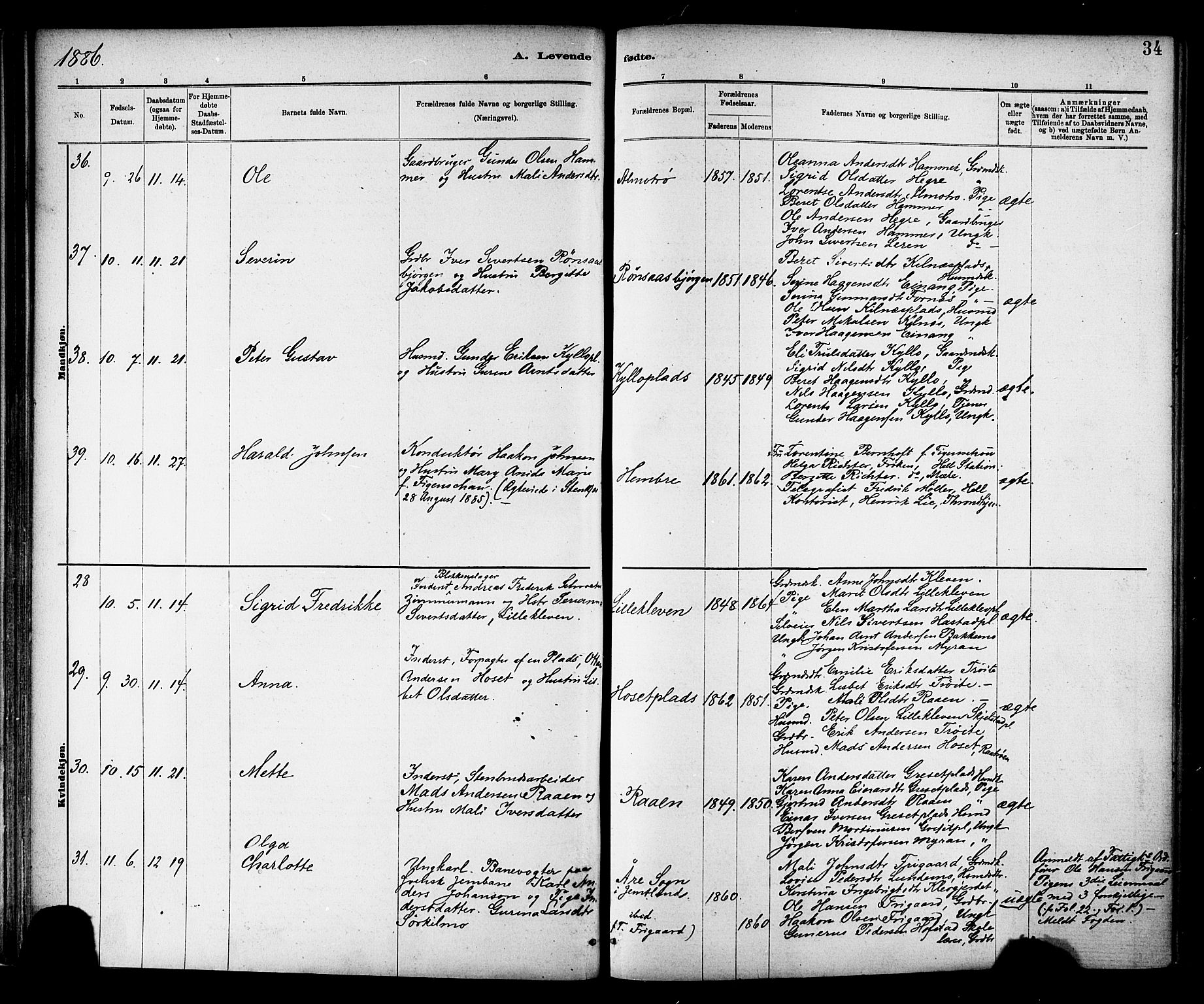Ministerialprotokoller, klokkerbøker og fødselsregistre - Nord-Trøndelag, SAT/A-1458/703/L0030: Parish register (official) no. 703A03, 1880-1892, p. 34