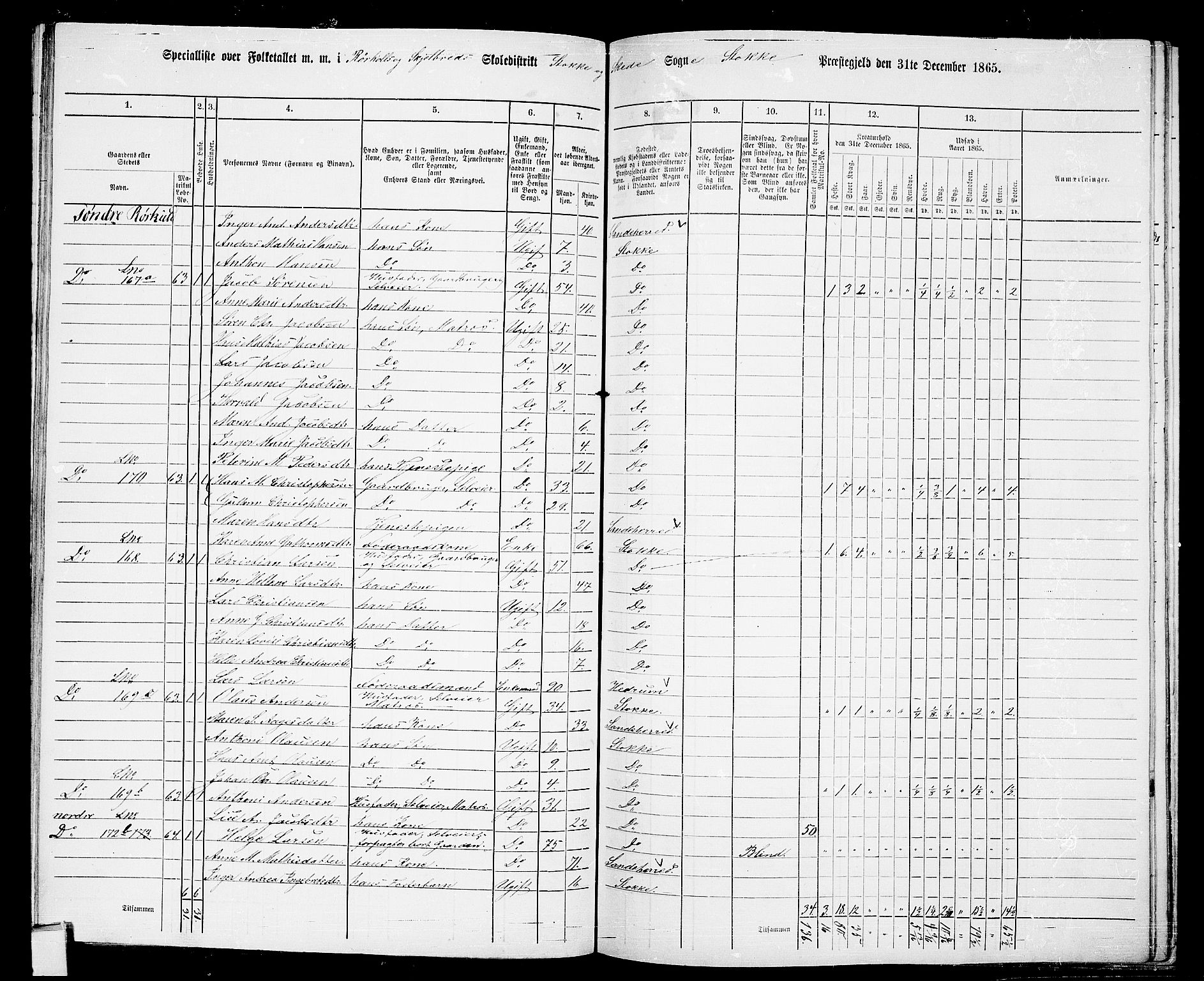 RA, 1865 census for Stokke, 1865, p. 110