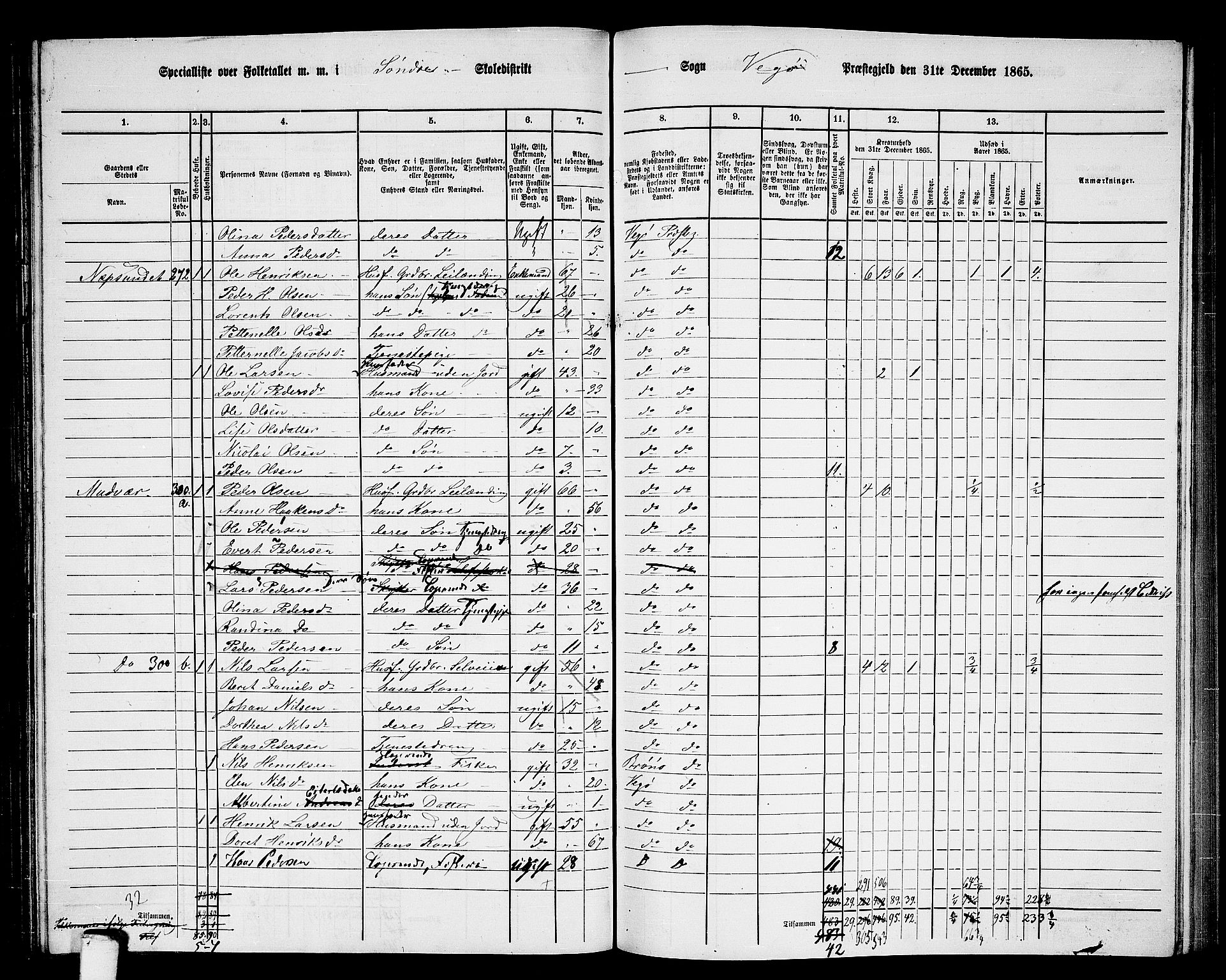 RA, 1865 census for Vega, 1865, p. 47