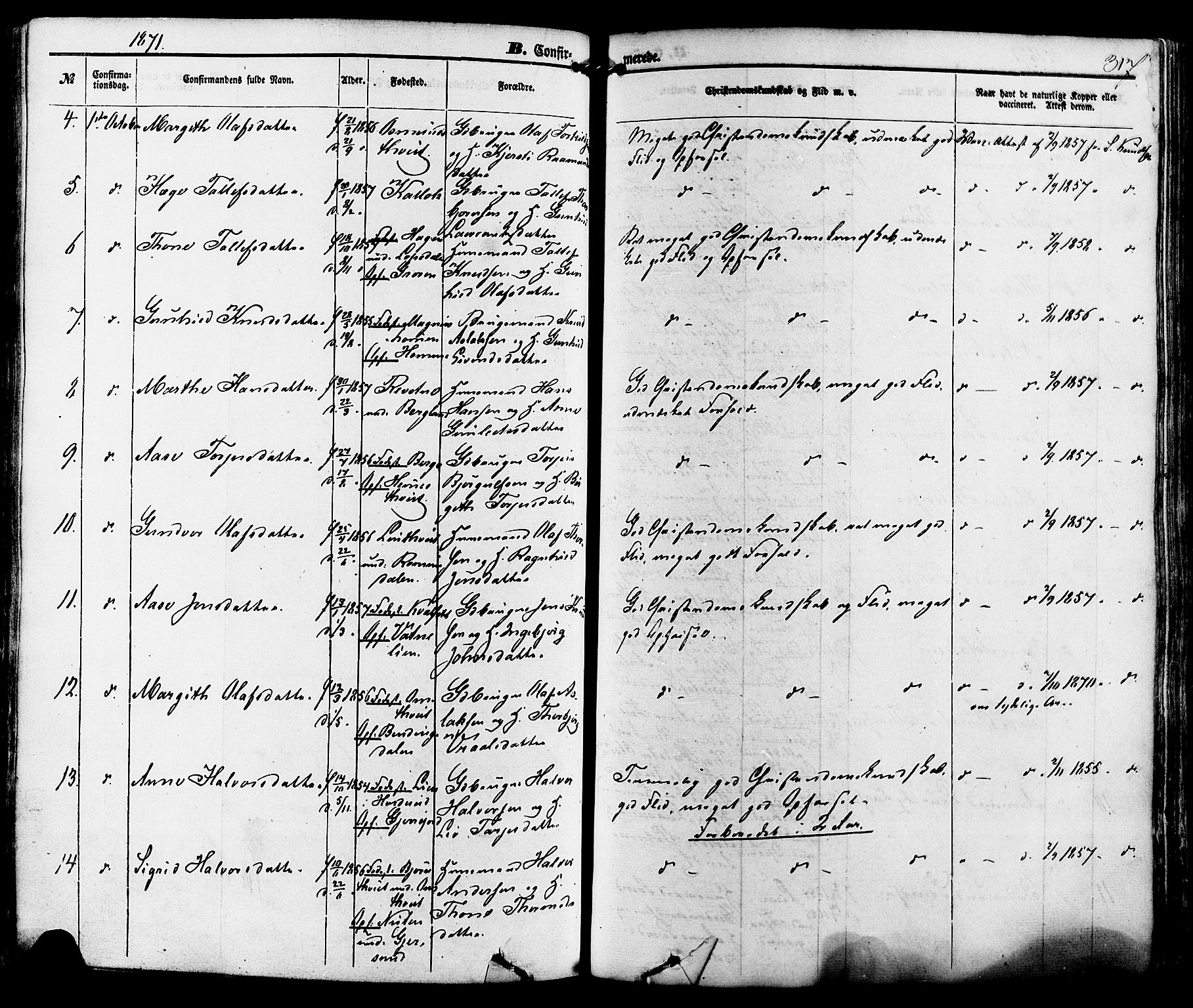 Kviteseid kirkebøker, AV/SAKO-A-276/F/Fa/L0007: Parish register (official) no. I 7, 1859-1881, p. 317