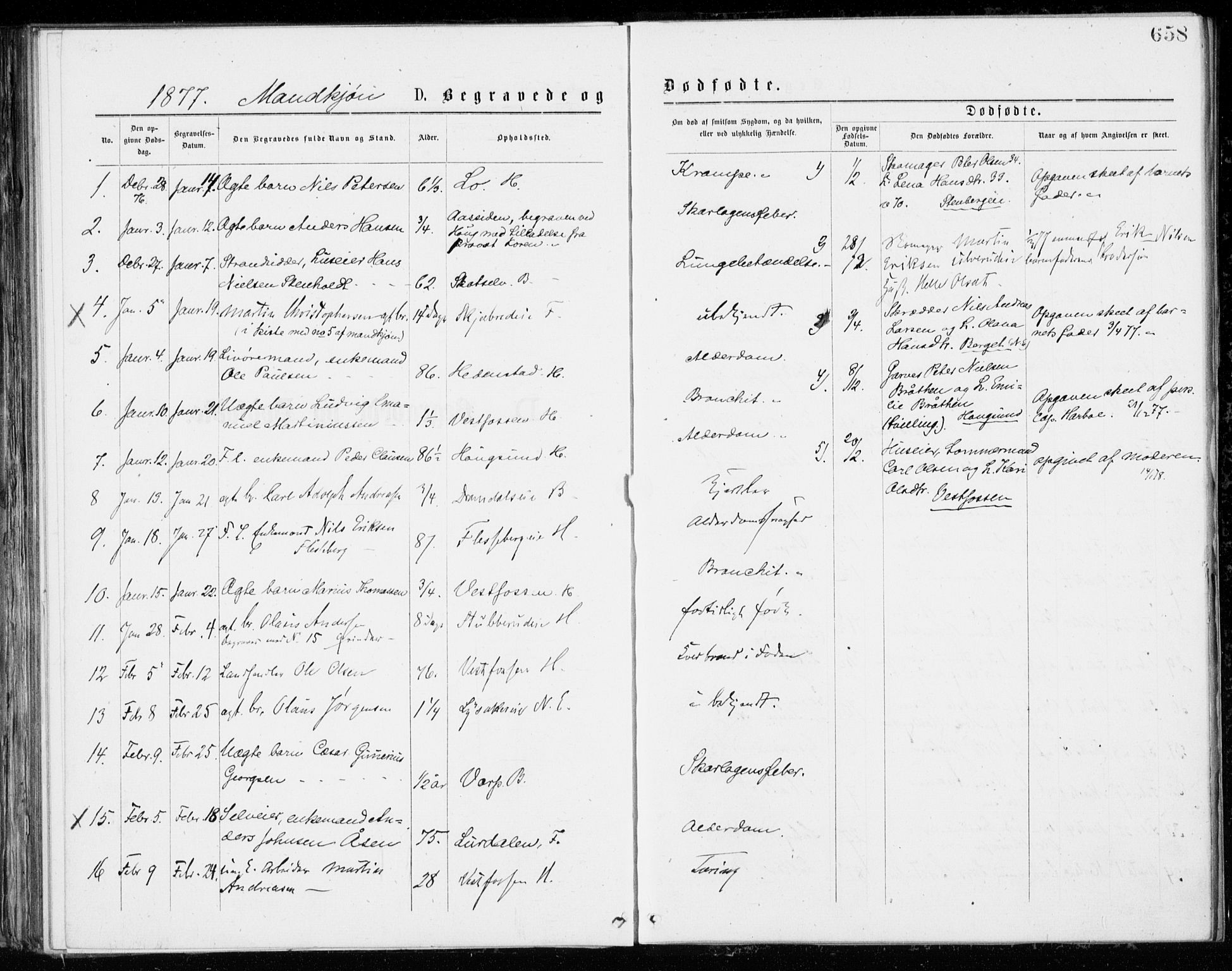 Eiker kirkebøker, SAKO/A-4/G/Ga/L0004: Parish register (copy) no. I 4, 1877-1877, p. 658