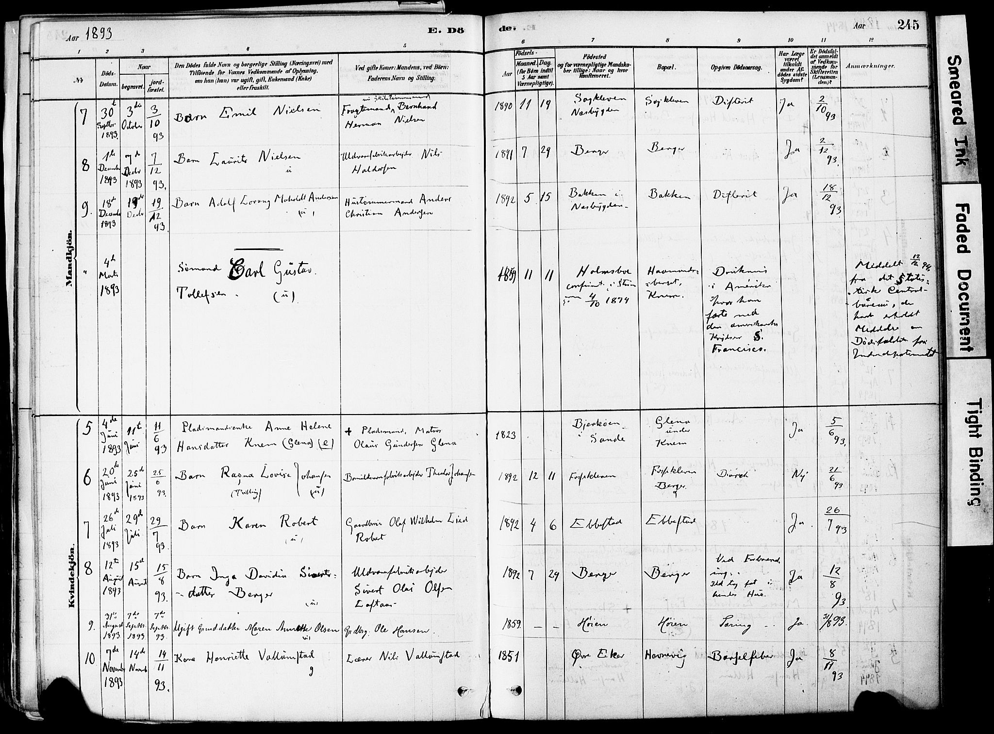 Strømm kirkebøker, AV/SAKO-A-322/F/Fa/L0004: Parish register (official) no. I 4, 1878-1899, p. 245