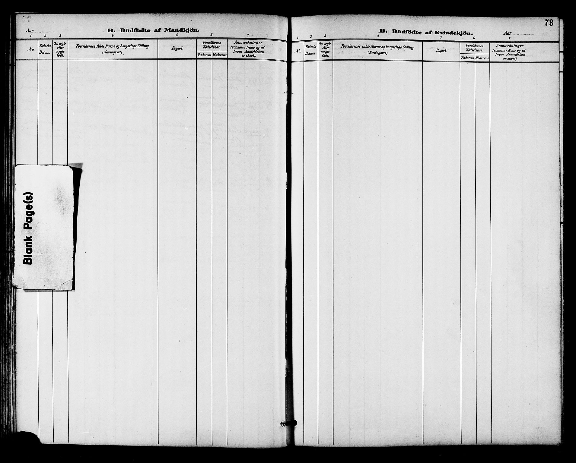 Ministerialprotokoller, klokkerbøker og fødselsregistre - Nordland, AV/SAT-A-1459/893/L1338: Parish register (official) no. 893A10, 1894-1903, p. 73