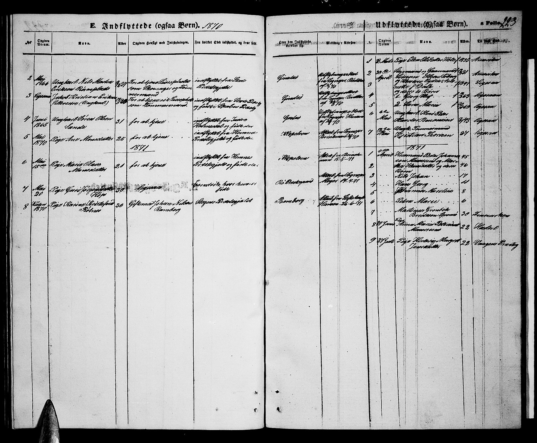 Ministerialprotokoller, klokkerbøker og fødselsregistre - Nordland, AV/SAT-A-1459/891/L1314: Parish register (copy) no. 891C03, 1870-1885, p. 223