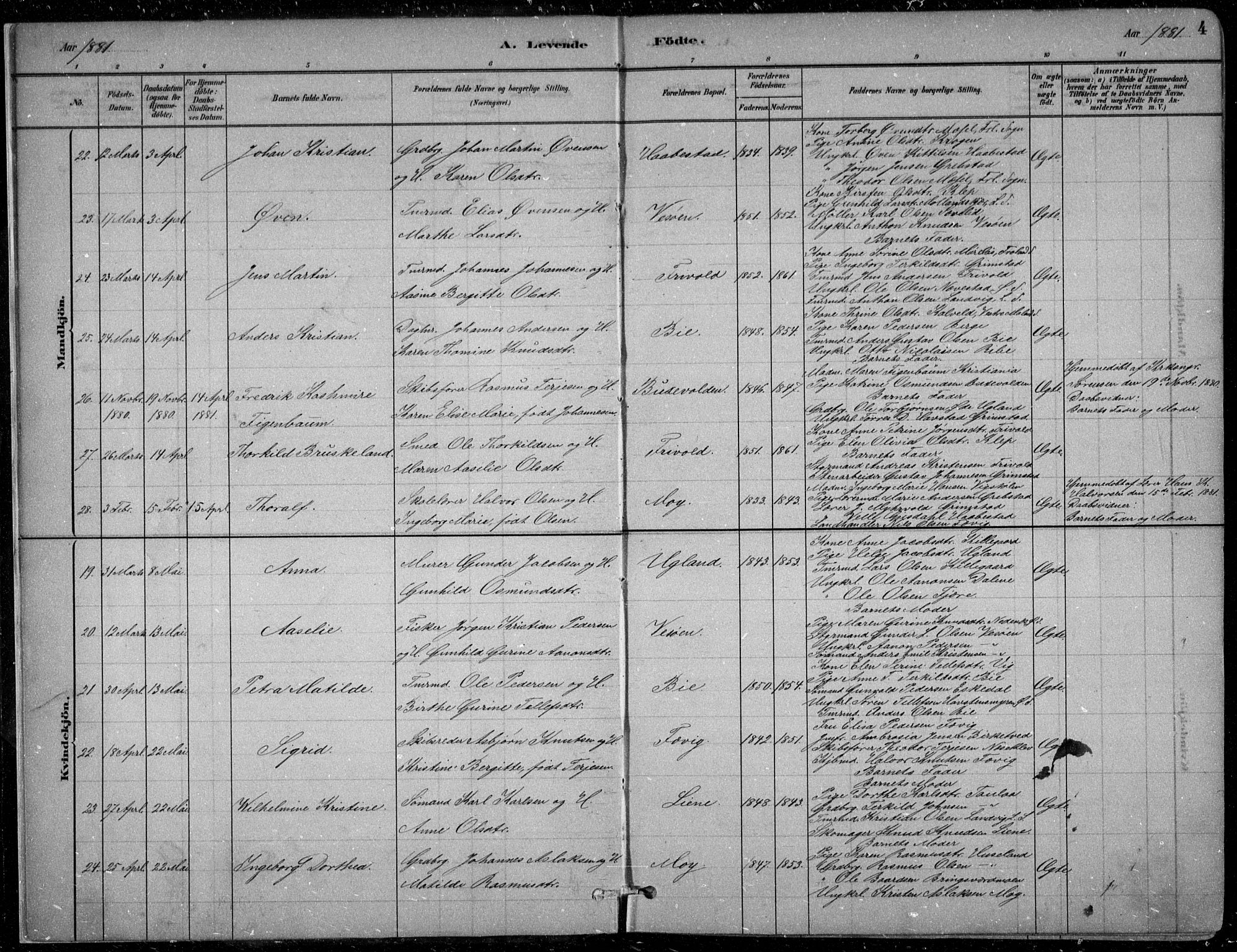 Fjære sokneprestkontor, SAK/1111-0011/F/Fb/L0011: Parish register (copy) no. B 11, 1881-1905, p. 4