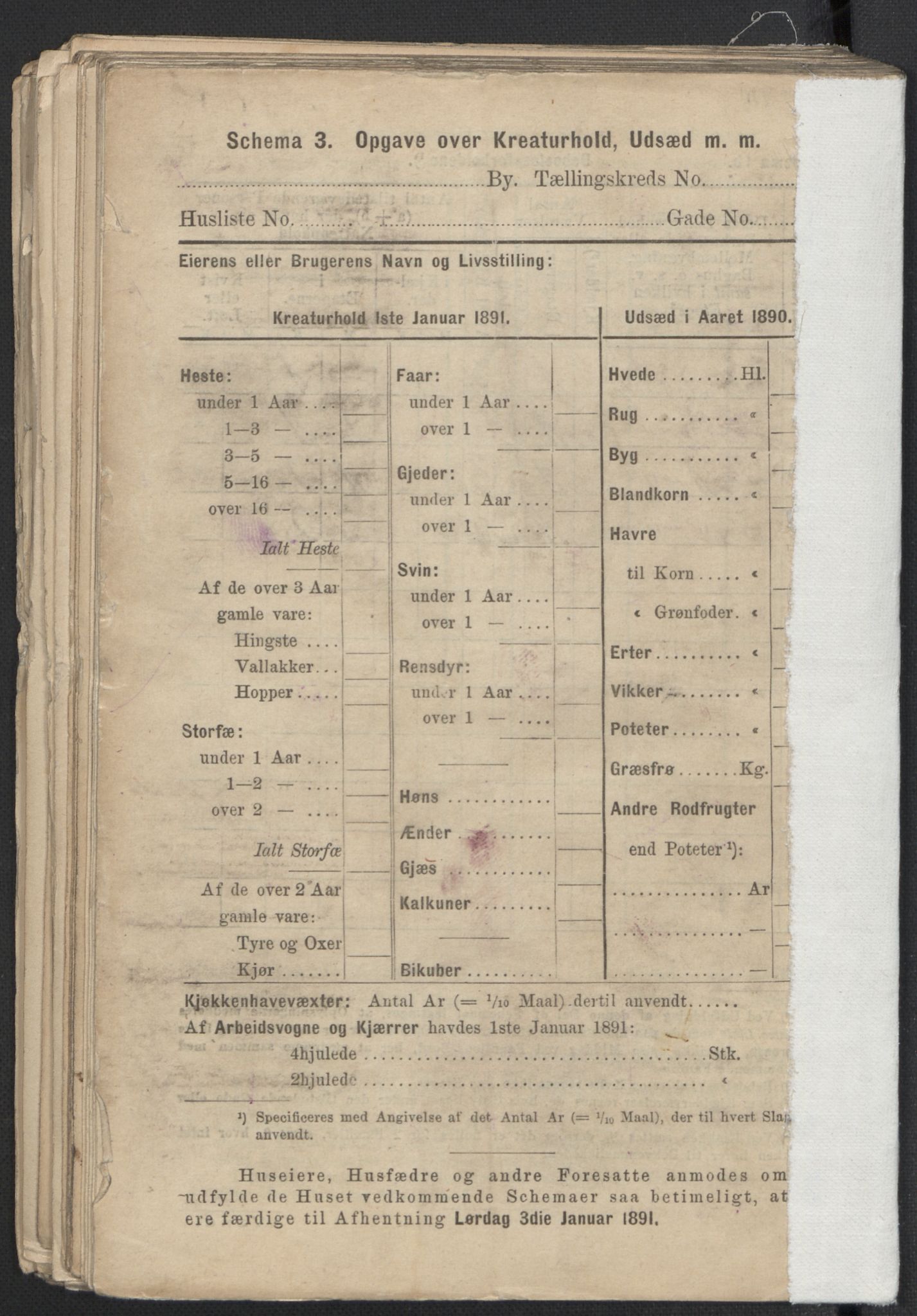 RA, 1891 Census for 1301 Bergen, 1891, p. 7960