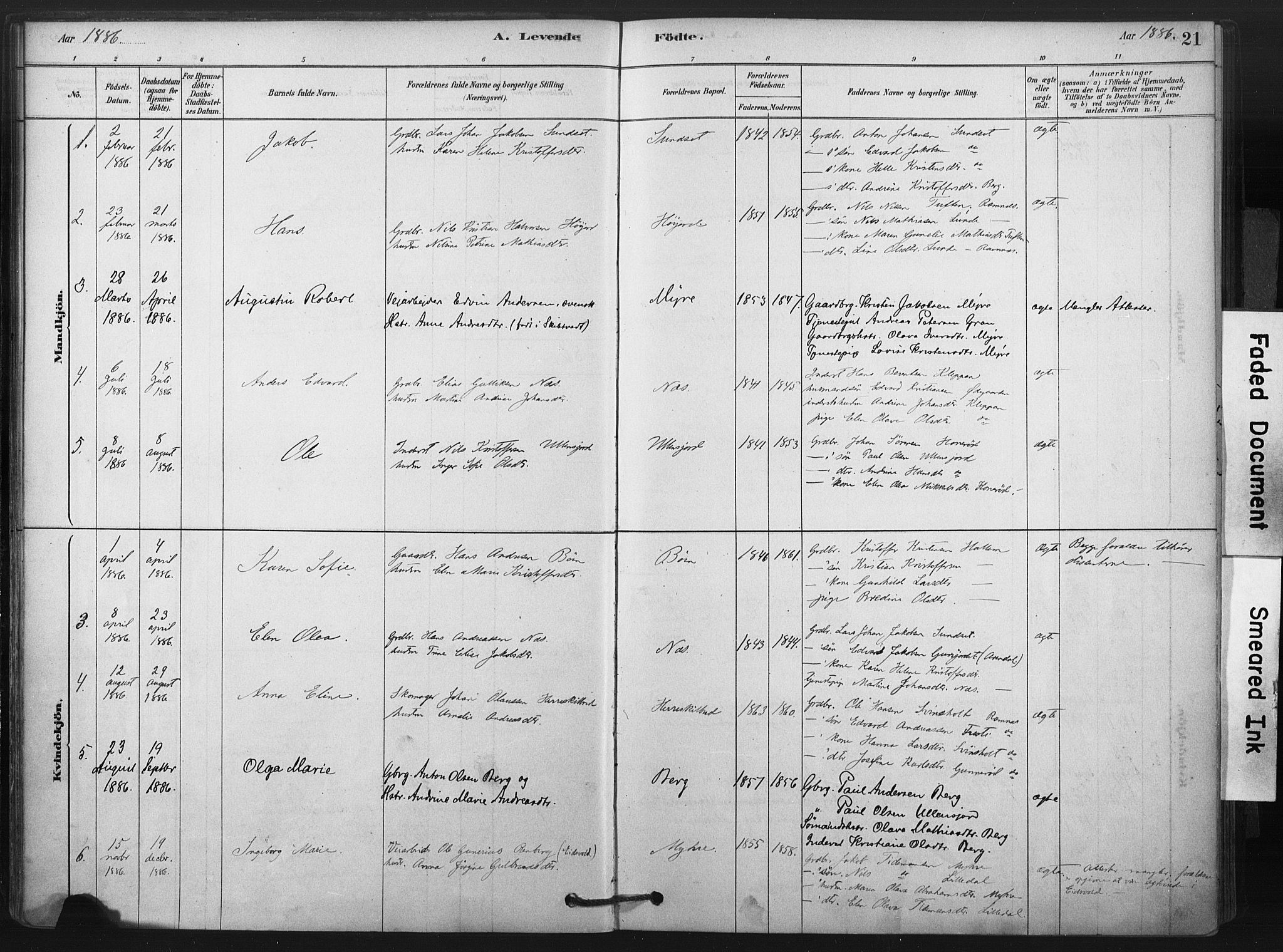 Andebu kirkebøker, AV/SAKO-A-336/F/Fa/L0009: Parish register (official) no. 9, 1878-1909, p. 21