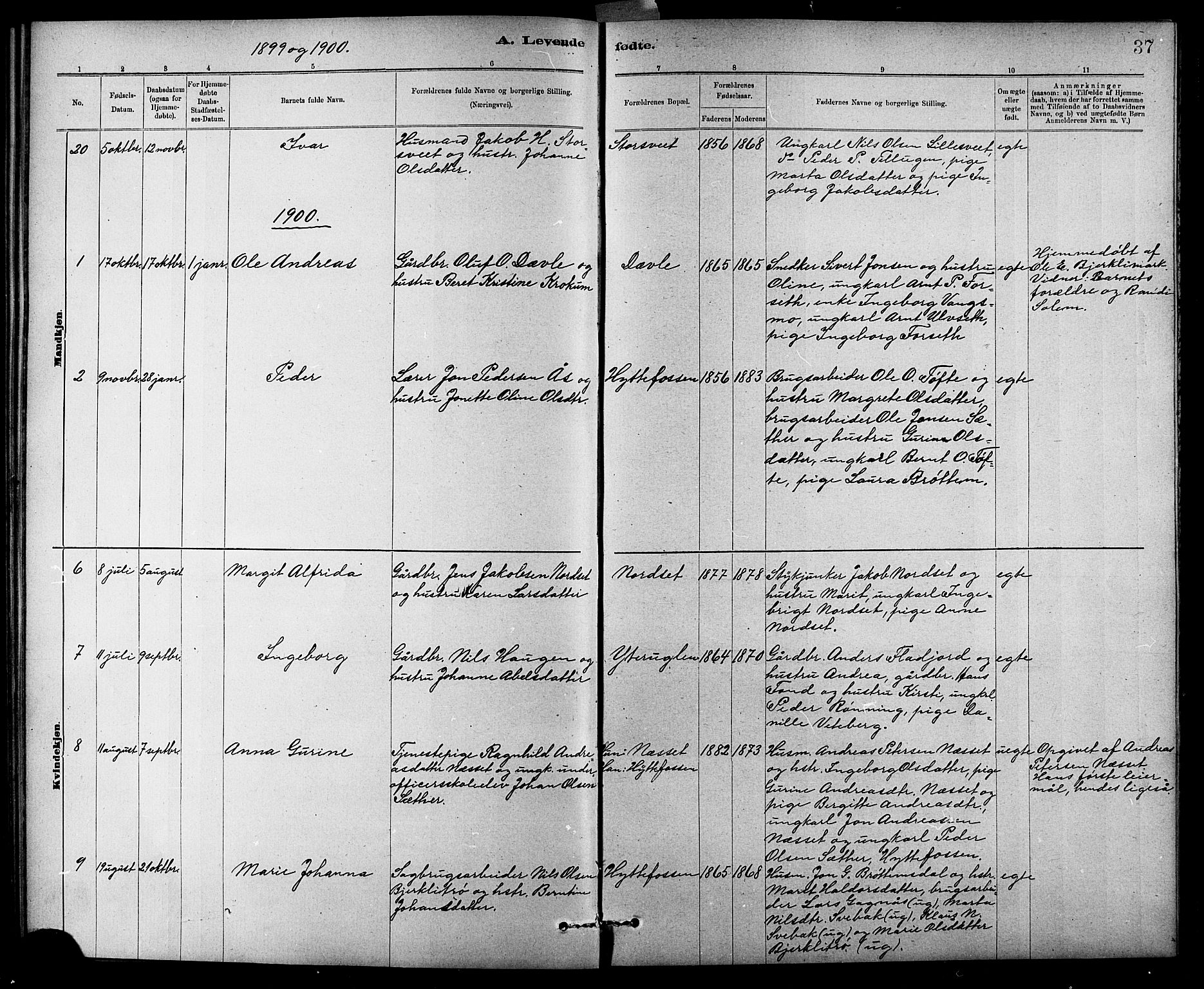 Ministerialprotokoller, klokkerbøker og fødselsregistre - Sør-Trøndelag, SAT/A-1456/618/L0452: Parish register (copy) no. 618C03, 1884-1906, p. 37