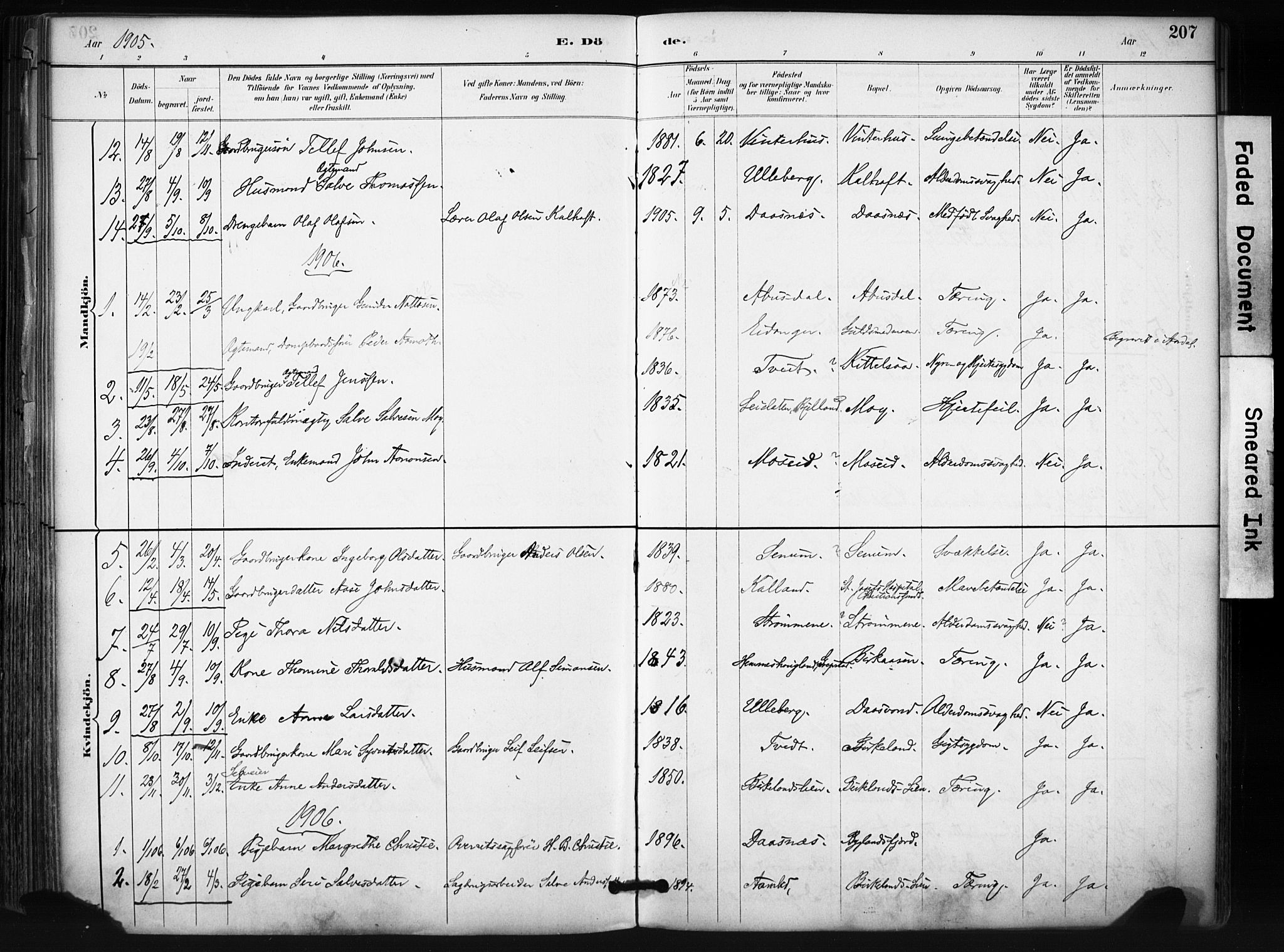 Evje sokneprestkontor, SAK/1111-0008/F/Fa/Fab/L0003: Parish register (official) no. A 3, 1884-1909, p. 207