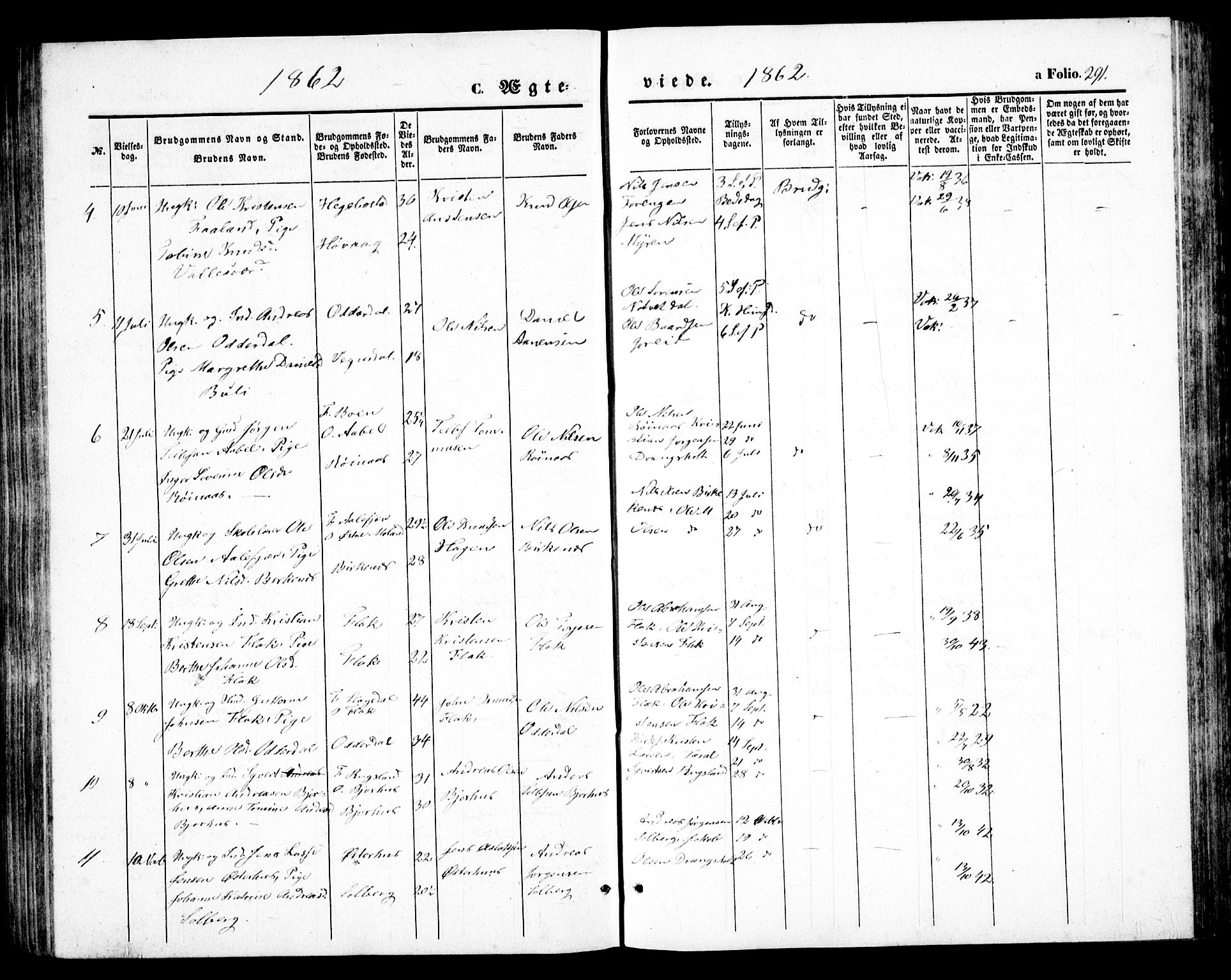 Birkenes sokneprestkontor, SAK/1111-0004/F/Fb/L0002: Parish register (copy) no. B 2, 1849-1876, p. 291
