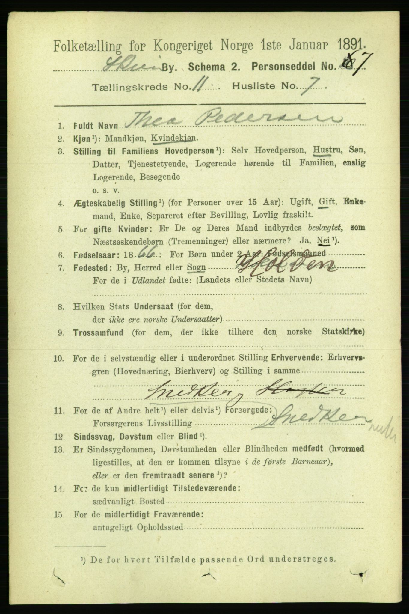 RA, 1891 census for 0806 Skien, 1891, p. 3951