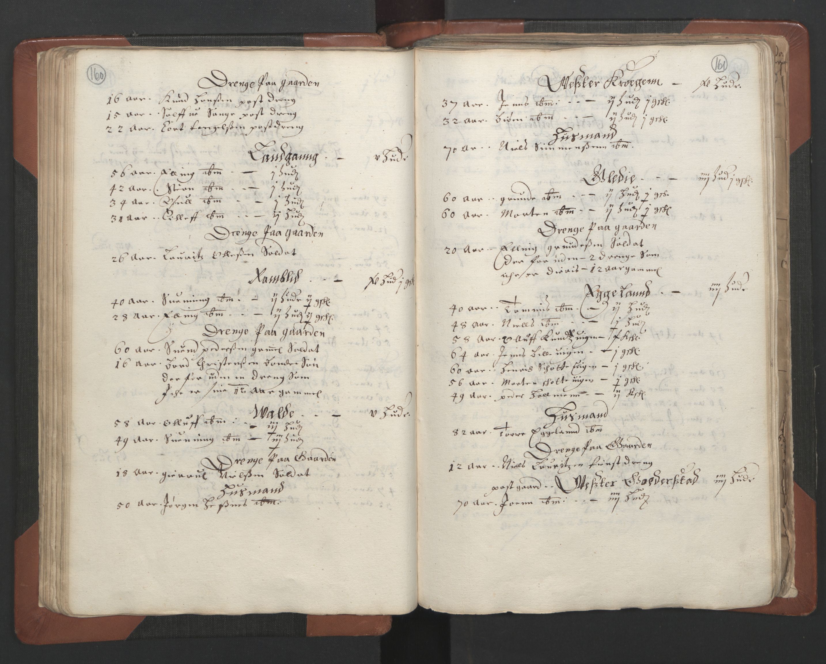 RA, Bailiff's Census 1664-1666, no. 7: Nedenes fogderi, 1664-1666, p. 160-161