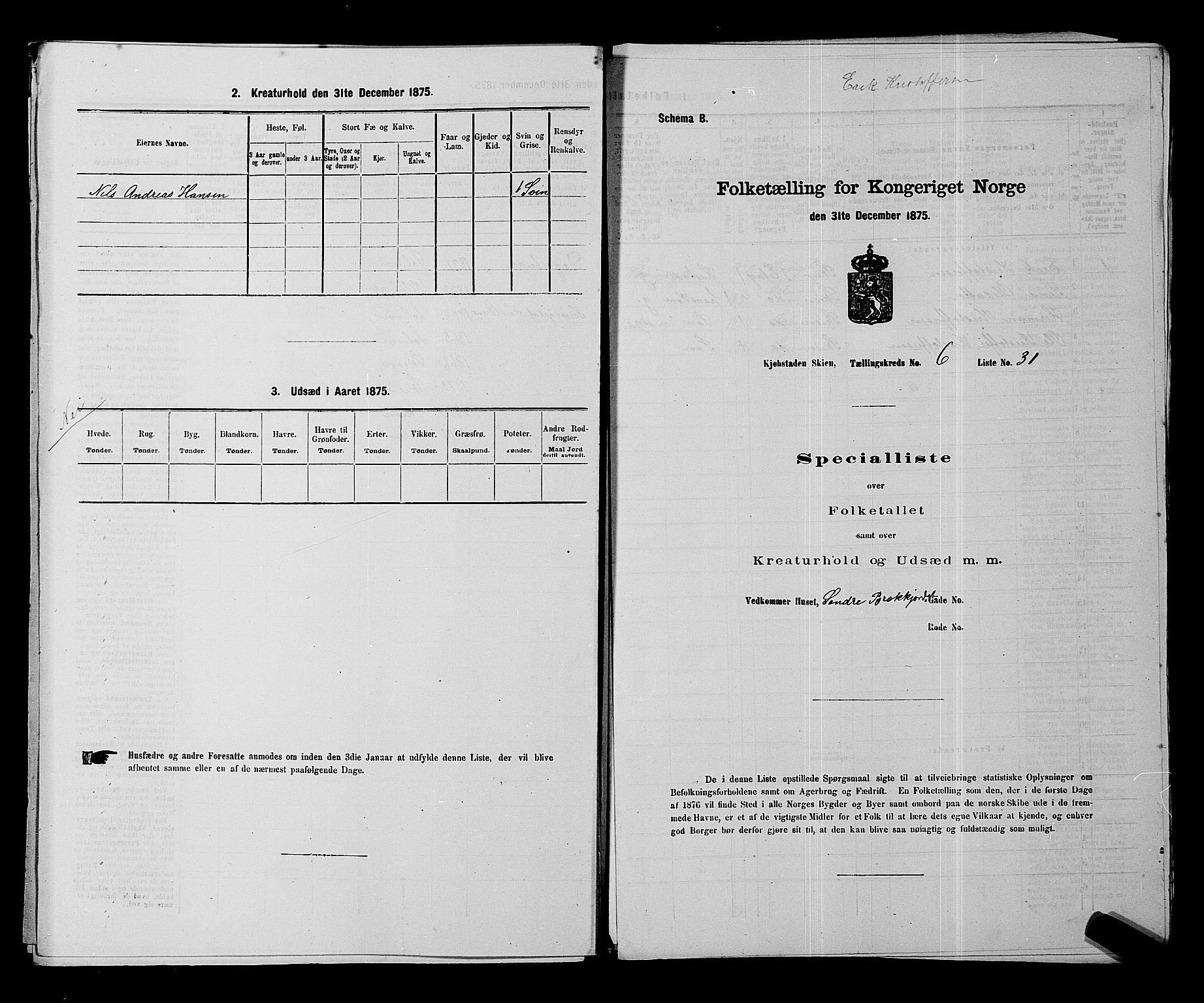 SAKO, 1875 census for 0806P Skien, 1875, p. 1025