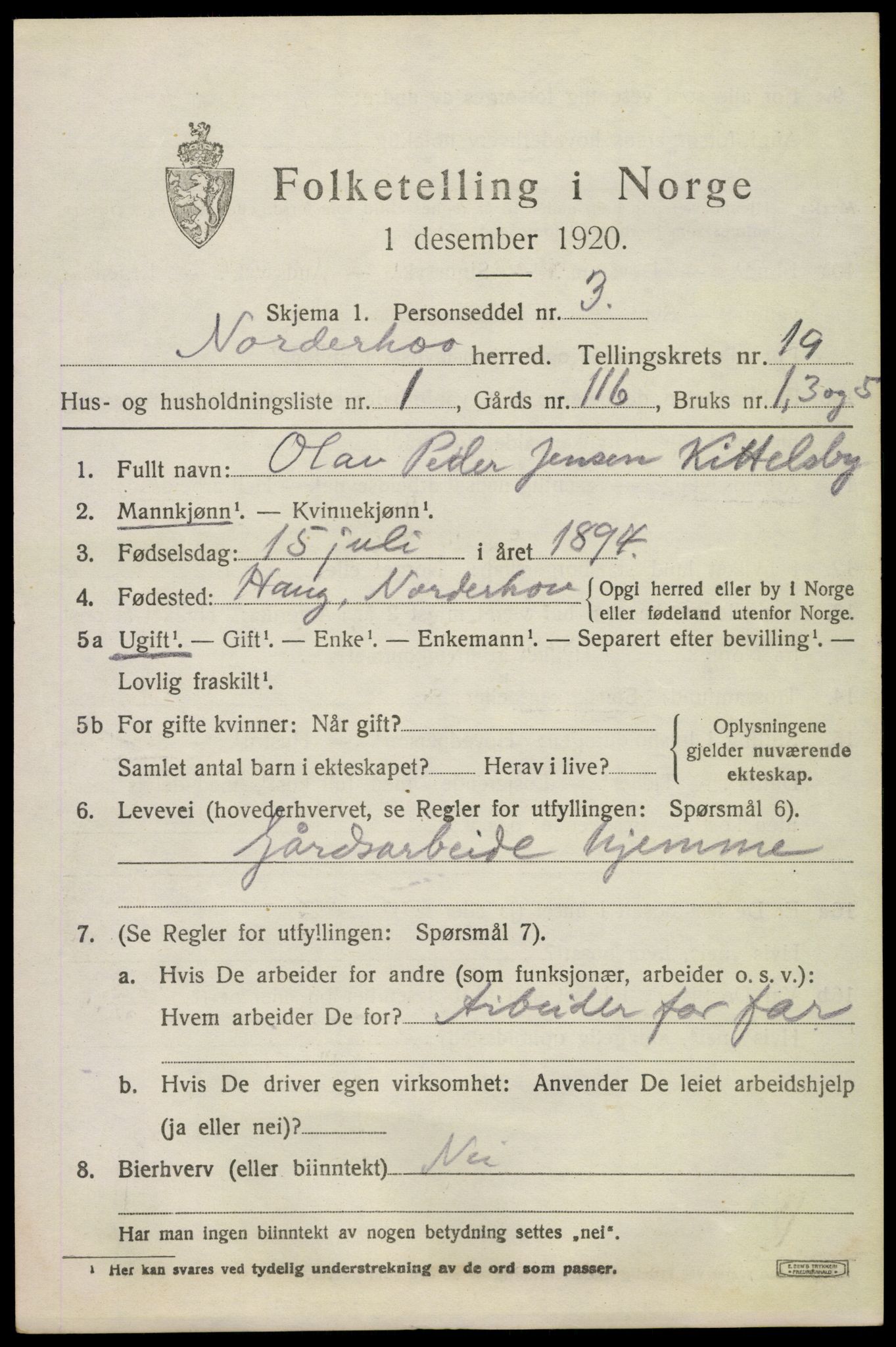 SAKO, 1920 census for Norderhov, 1920, p. 20308