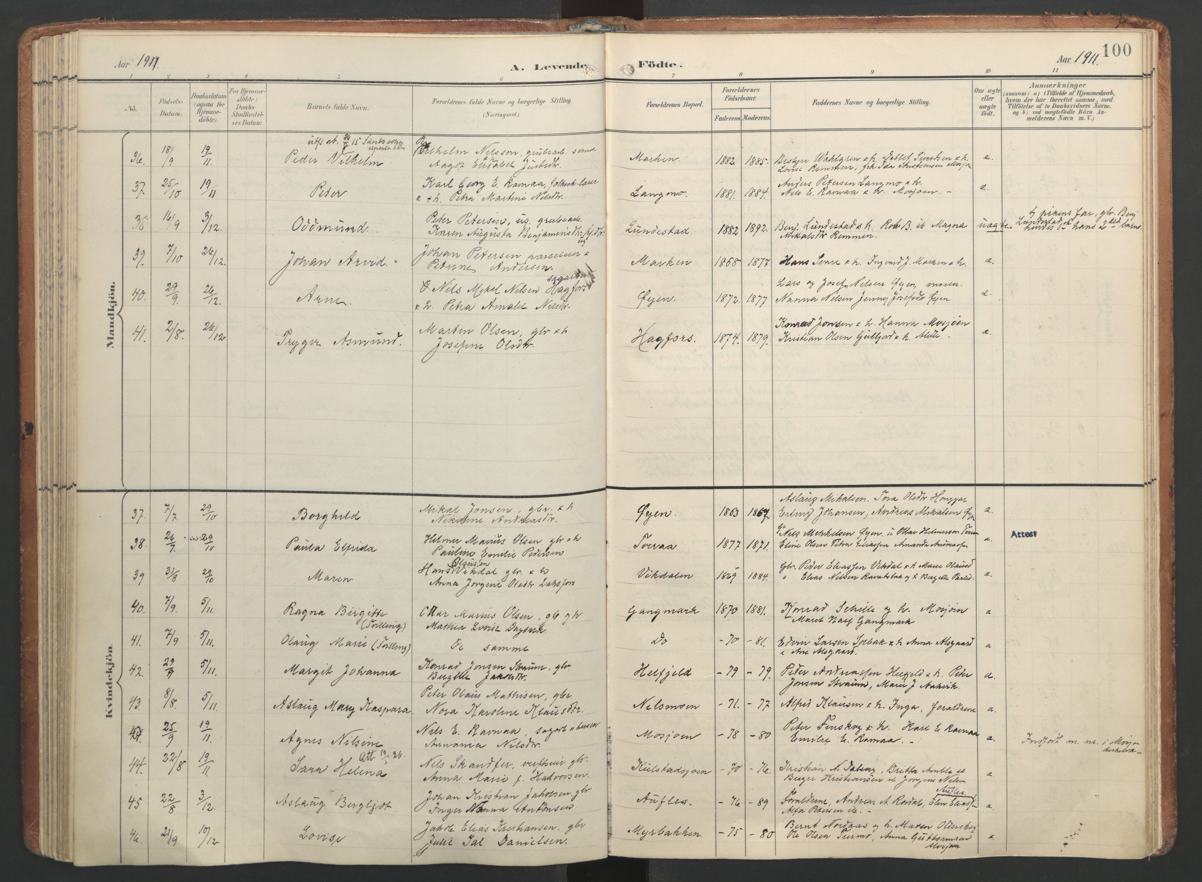 Ministerialprotokoller, klokkerbøker og fødselsregistre - Nordland, SAT/A-1459/820/L0297: Parish register (official) no. 820A18, 1897-1917, p. 100