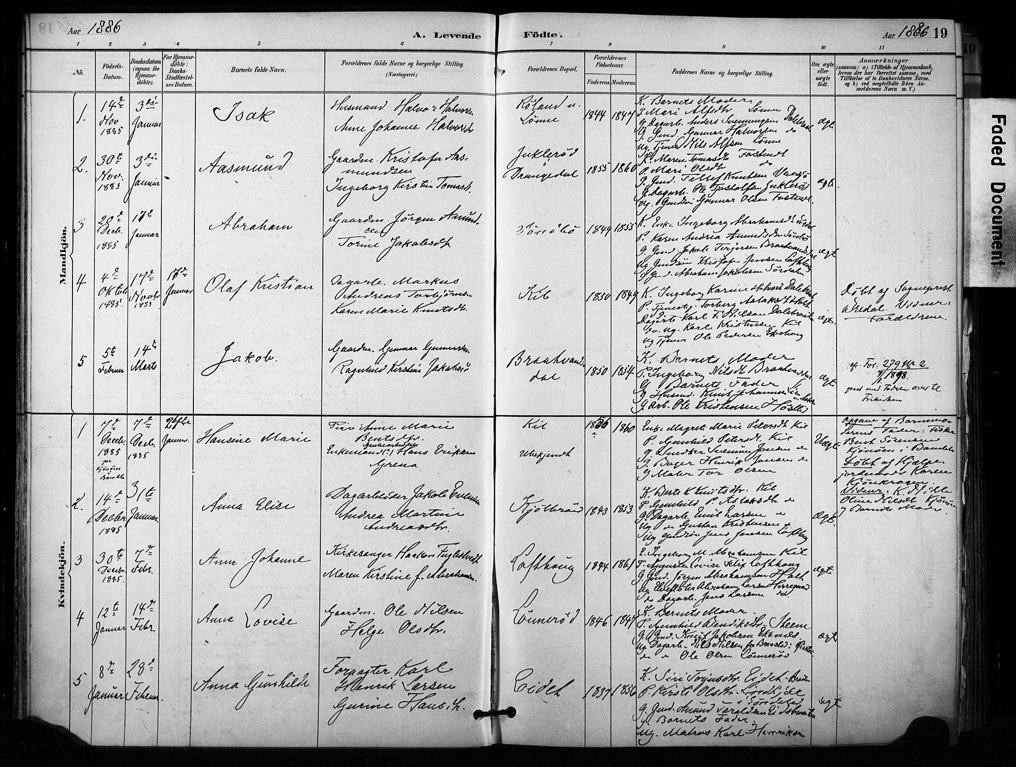 Sannidal kirkebøker, SAKO/A-296/F/Fa/L0015: Parish register (official) no. 15, 1884-1899, p. 19