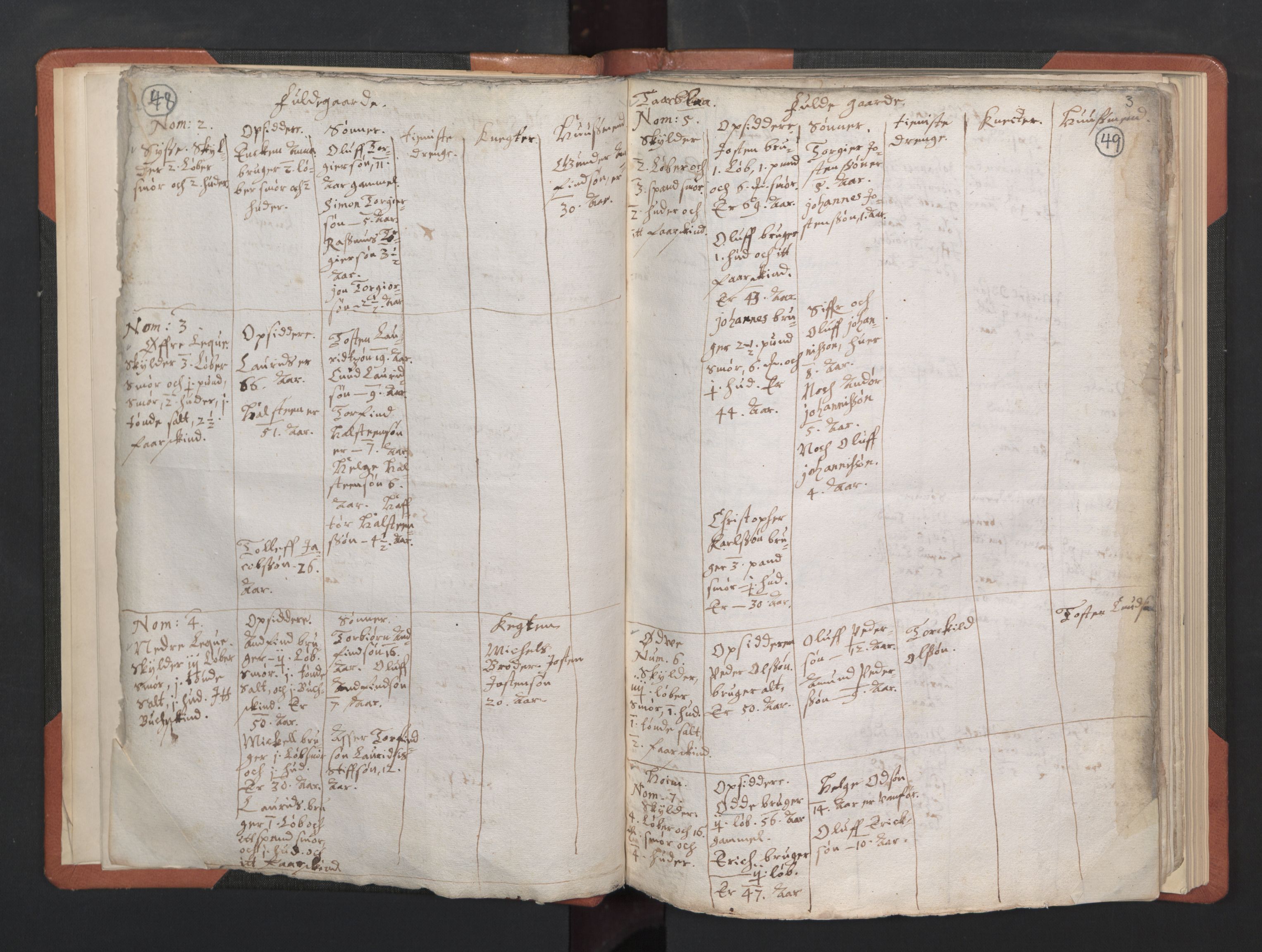 RA, Vicar's Census 1664-1666, no. 21: Hardanger deanery, 1664-1666, p. 48-49