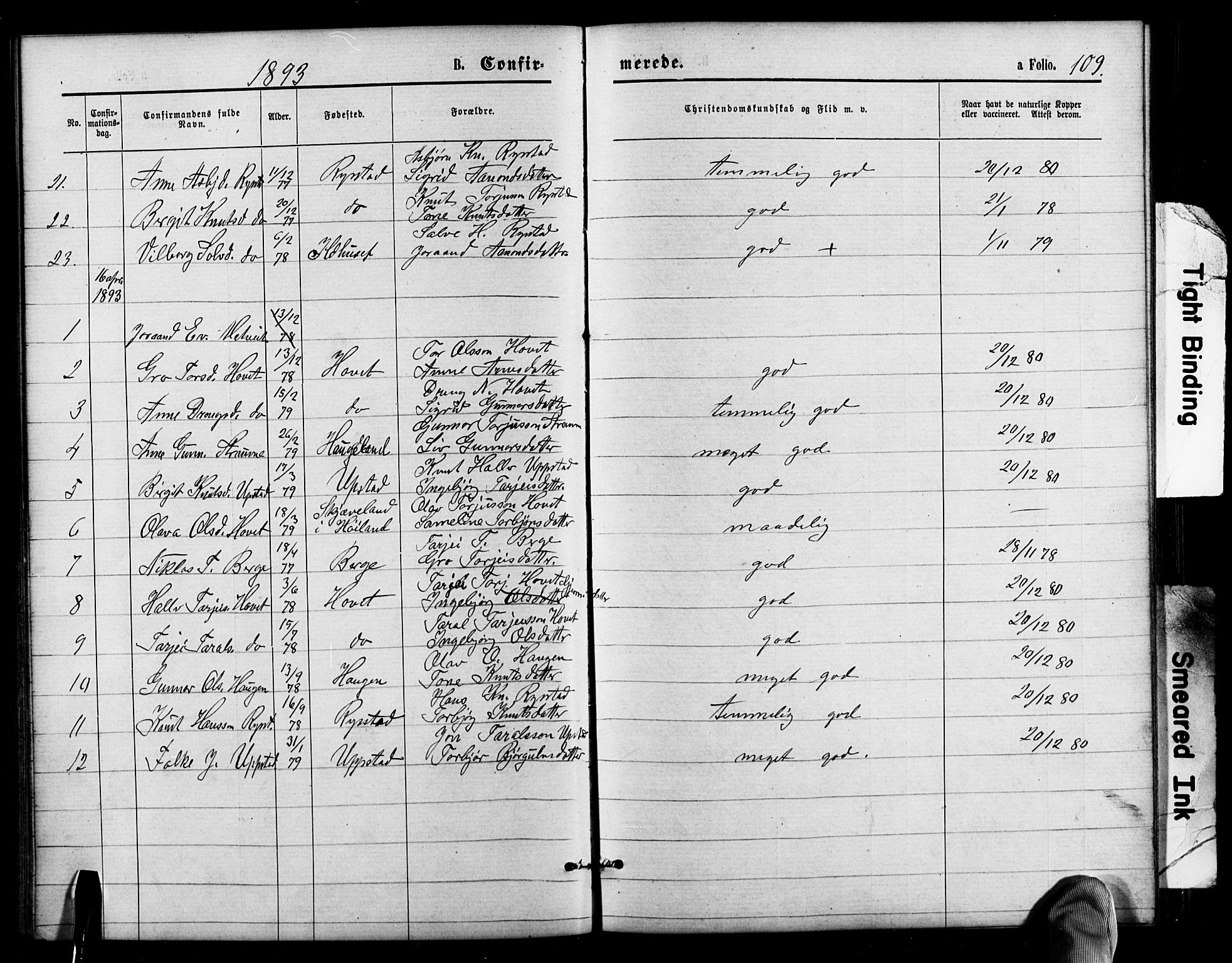 Valle sokneprestkontor, SAK/1111-0044/F/Fb/Fbb/L0002: Parish register (copy) no. B 2, 1875-1921, p. 109