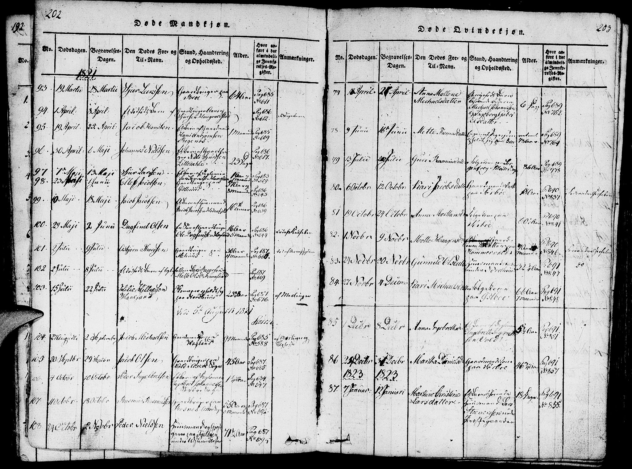Rennesøy sokneprestkontor, SAST/A -101827/H/Ha/Haa/L0004: Parish register (official) no. A 4, 1816-1837, p. 202-203