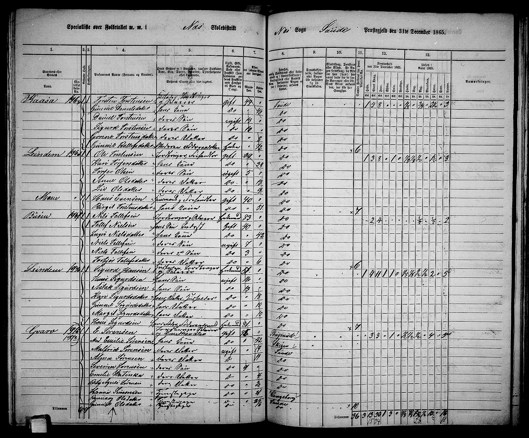 RA, 1865 census for Sauherad, 1865, p. 131