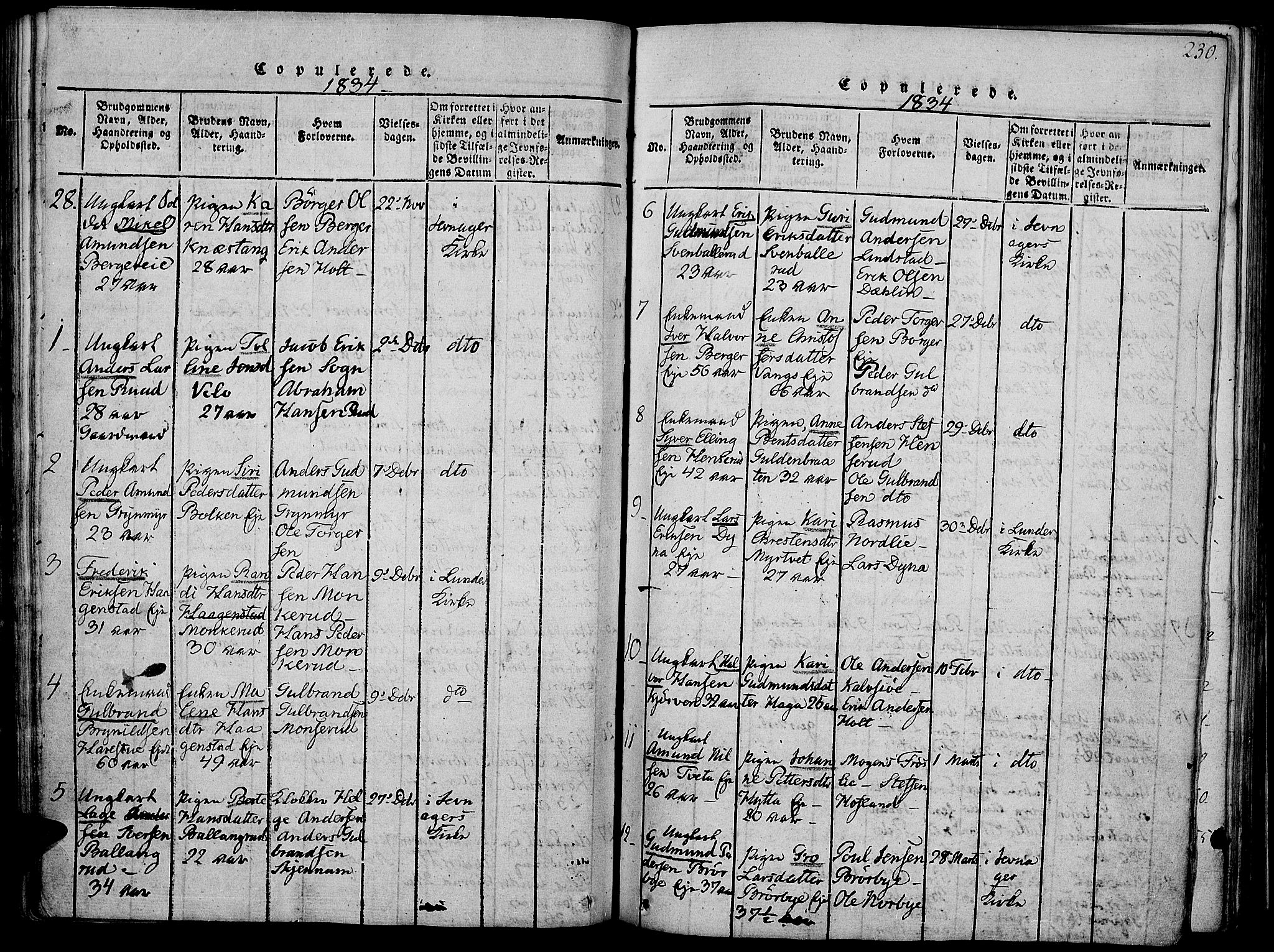 Jevnaker prestekontor, SAH/PREST-116/H/Ha/Haa/L0005: Parish register (official) no. 5, 1815-1837, p. 230