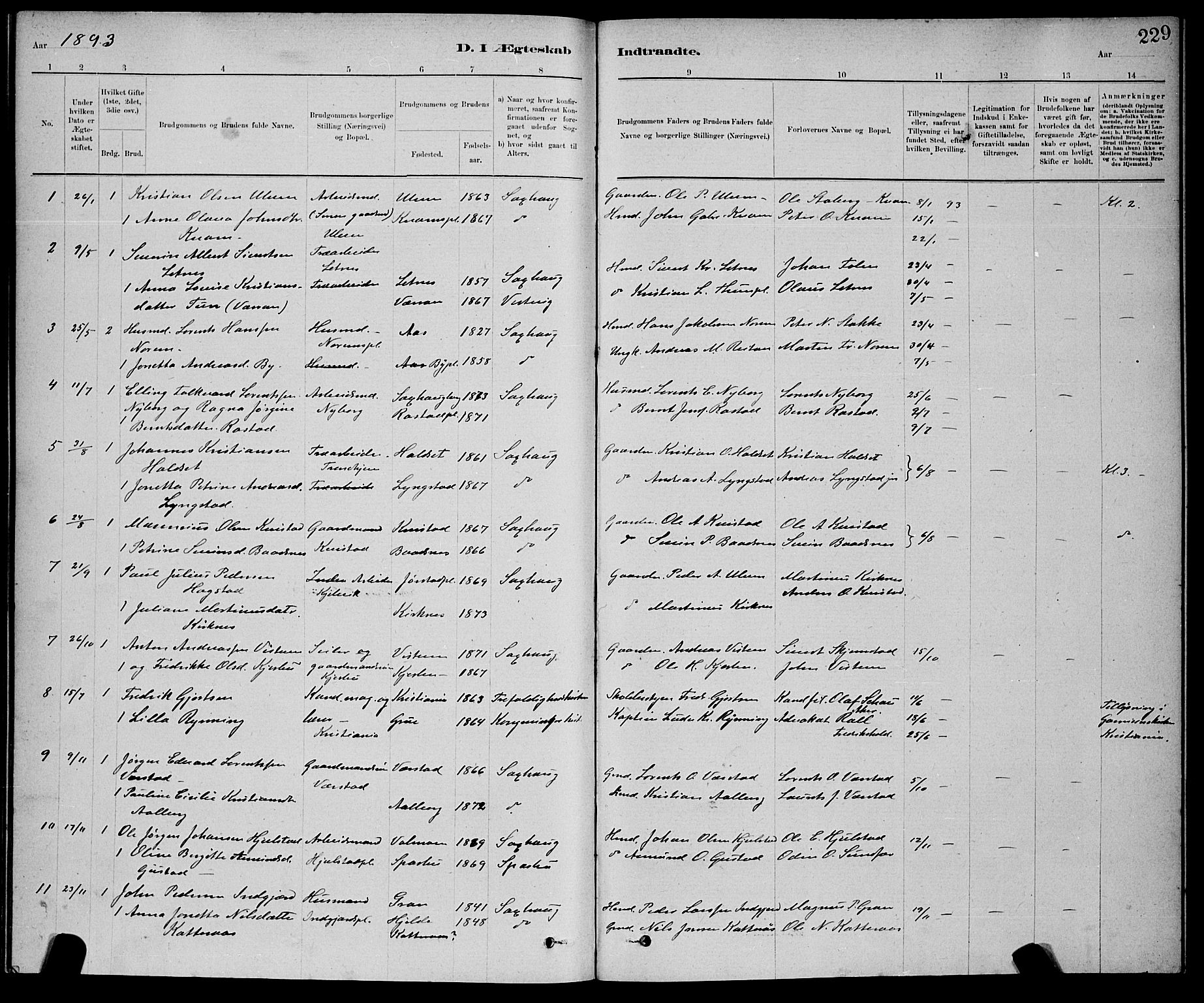 Ministerialprotokoller, klokkerbøker og fødselsregistre - Nord-Trøndelag, AV/SAT-A-1458/730/L0301: Parish register (copy) no. 730C04, 1880-1897, p. 229