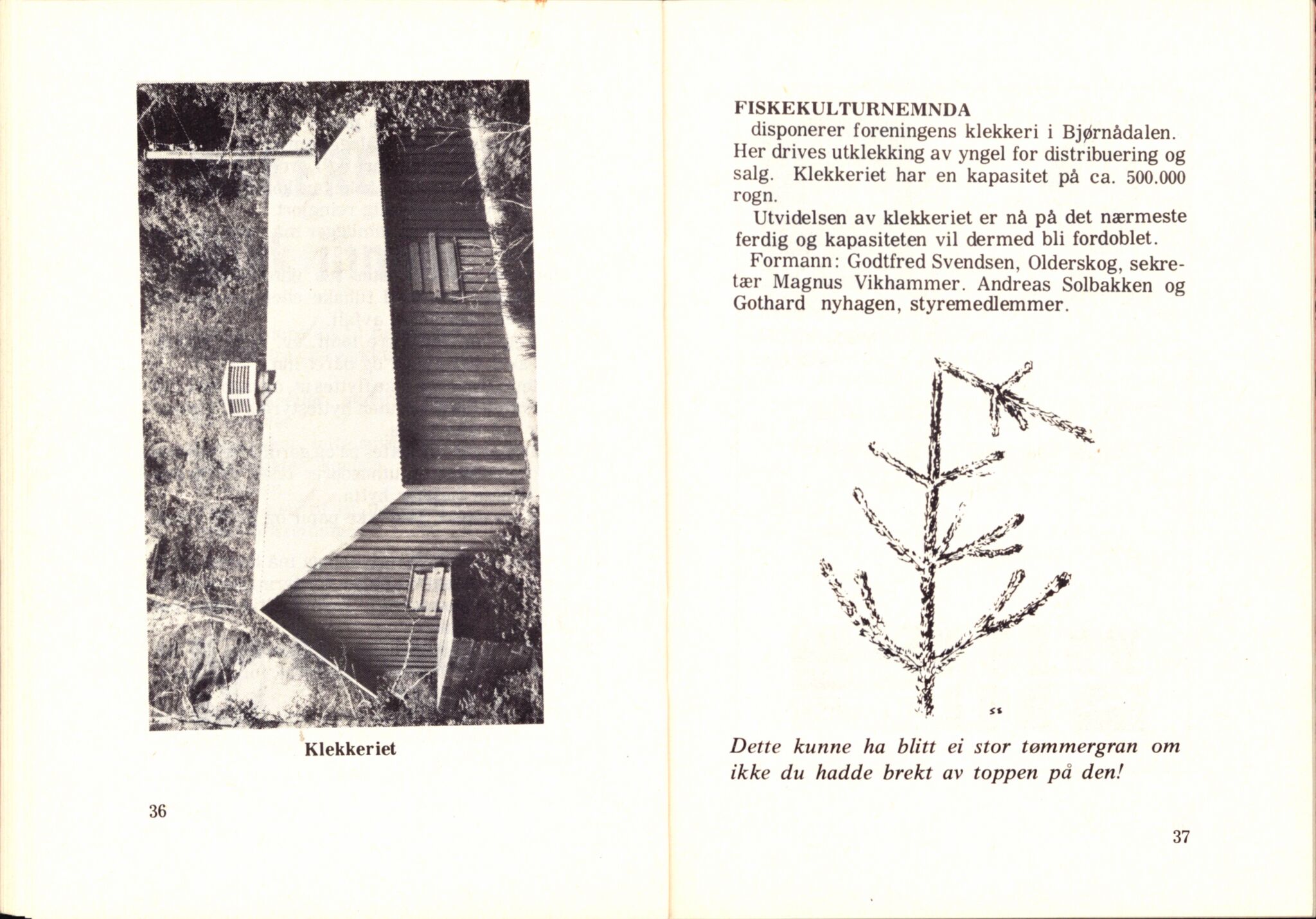 Statens naturverninspektør, AV/RA-S-2464/D/L0082: Nasjonalparker: Børgefjell og Rago, 1961-1982, p. 49