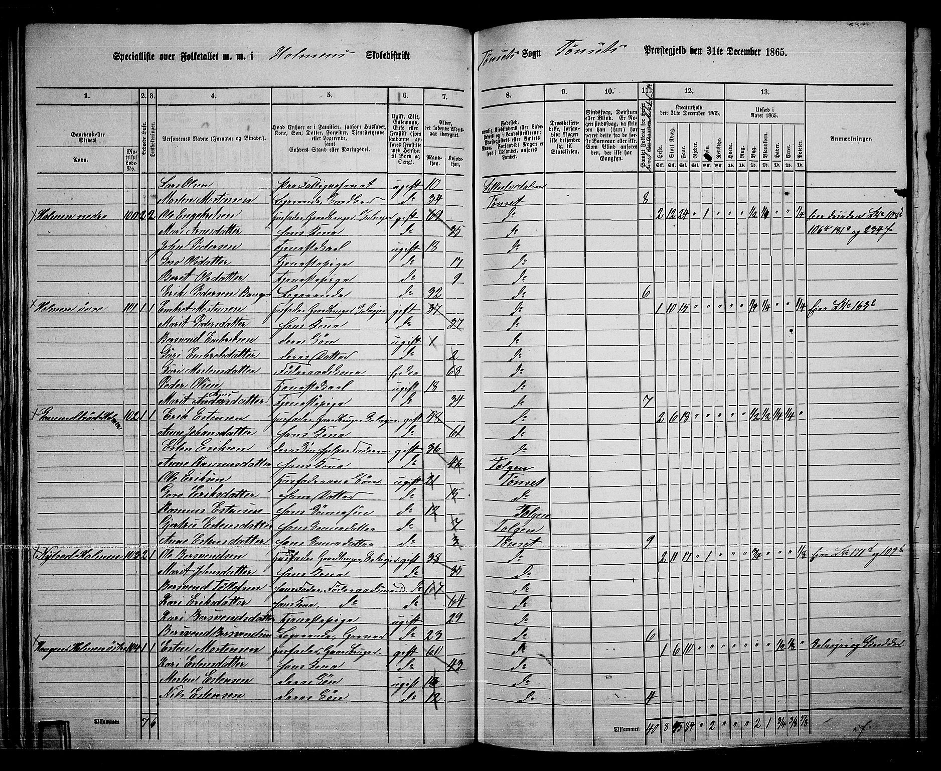 RA, 1865 census for Tynset, 1865, p. 53