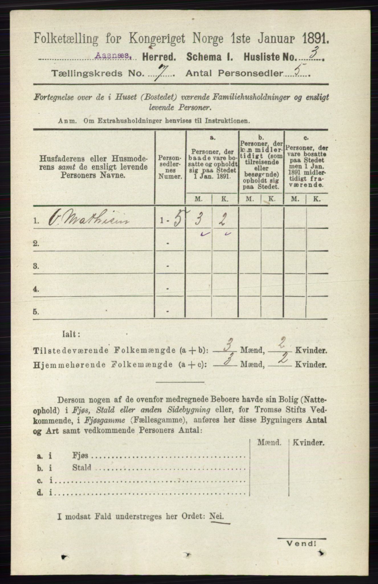 RA, 1891 census for 0425 Åsnes, 1891, p. 3238