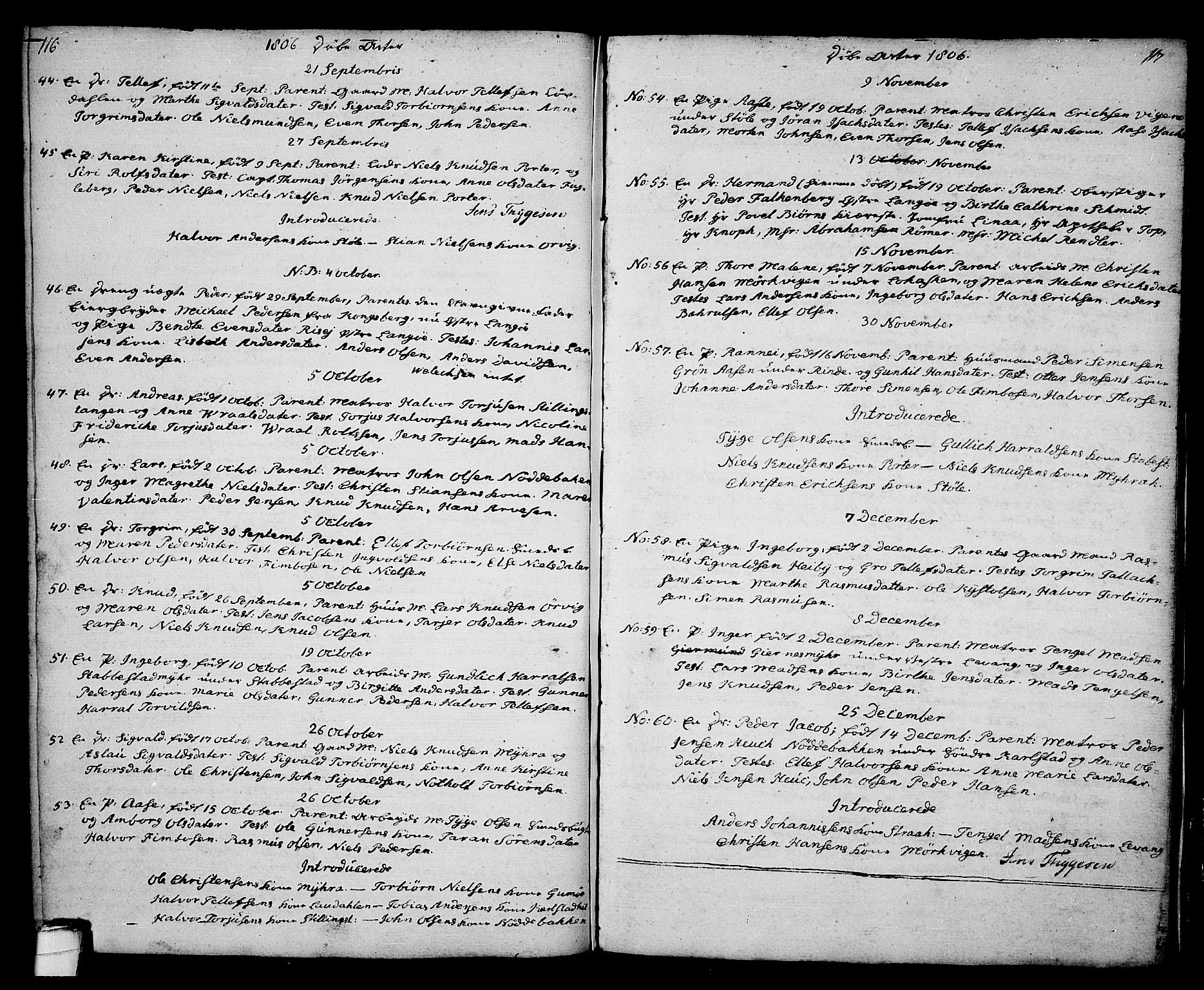 Kragerø kirkebøker, SAKO/A-278/G/Ga/L0001: Parish register (copy) no. 1 /2, 1806-1811, p. 116-117